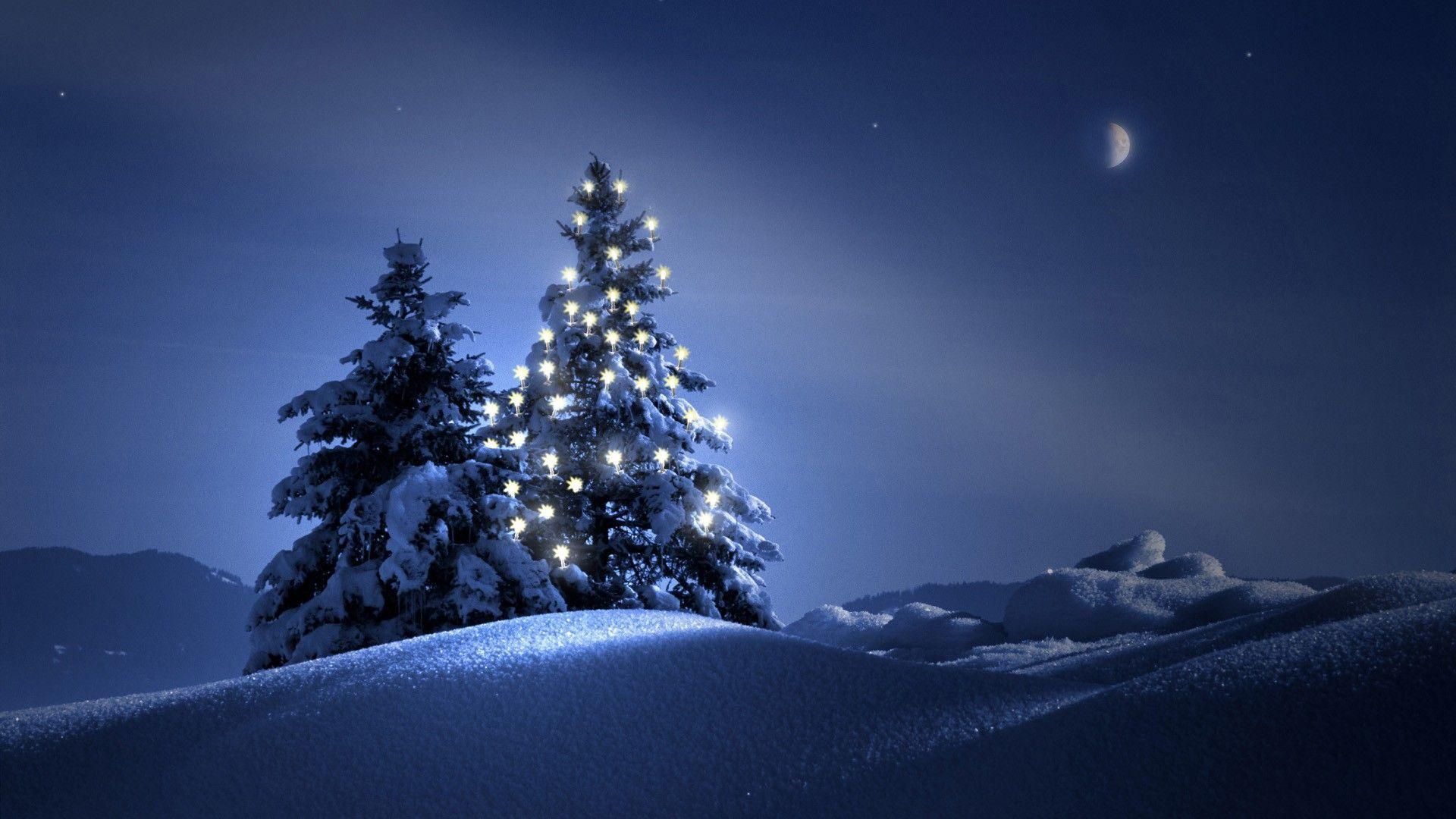 1920x1080 (1920×1080). Christmas tree wallpaper, Winter scenery, Winter nature