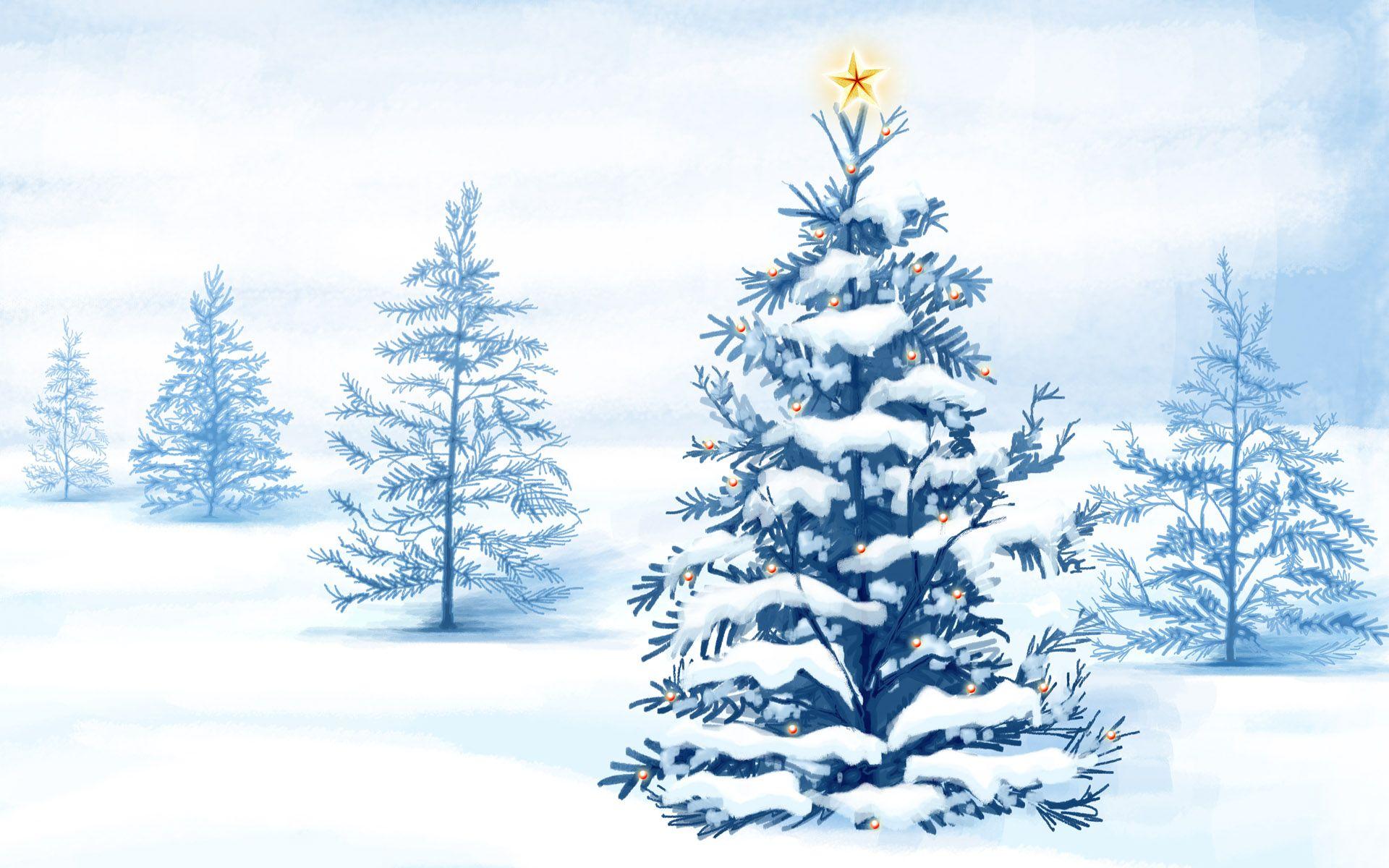 Christmas Tree Snow Wallpapers Top Free Christmas Tree Snow