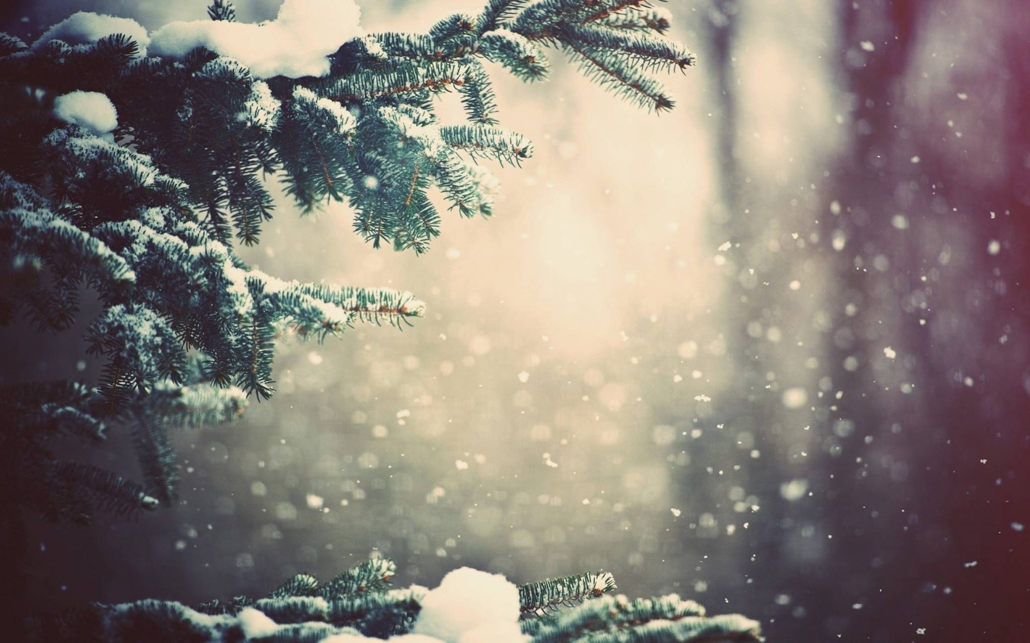 2048x1280 Christmas Snow wallpaper