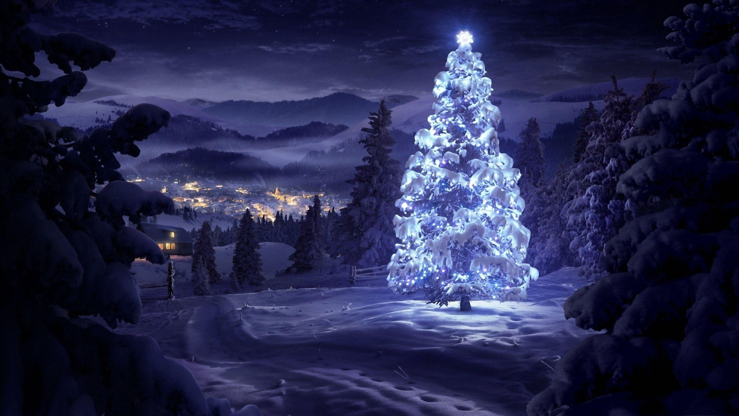 Christmas Tree Snow Wallpapers - Top Free Christmas Tree Snow ...