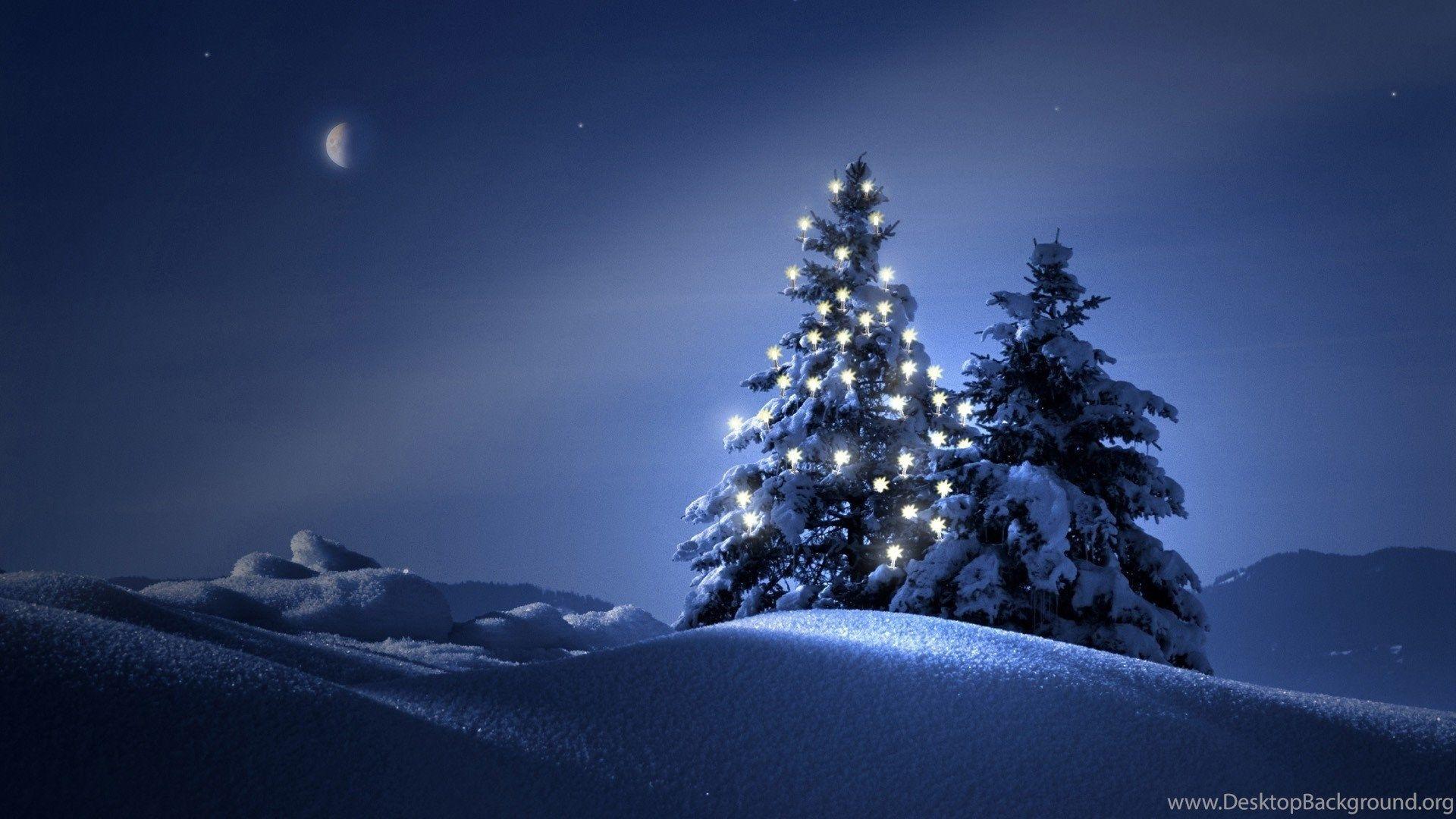 1920x1080 Christmas Tree Wallpaper HD Desktop Background