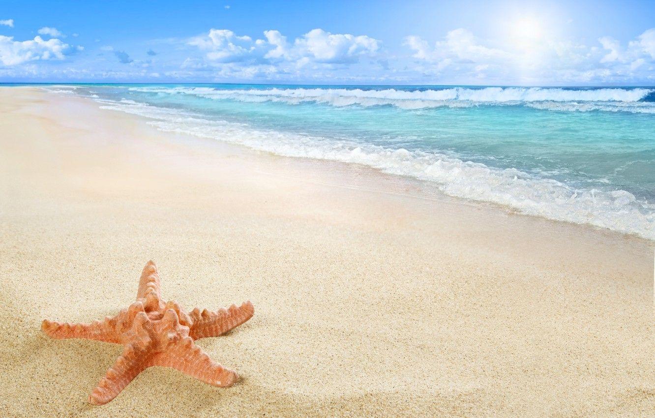 1332x850 Wallpaper beach, sea, sun, sand, starfish image for desktop, section природа