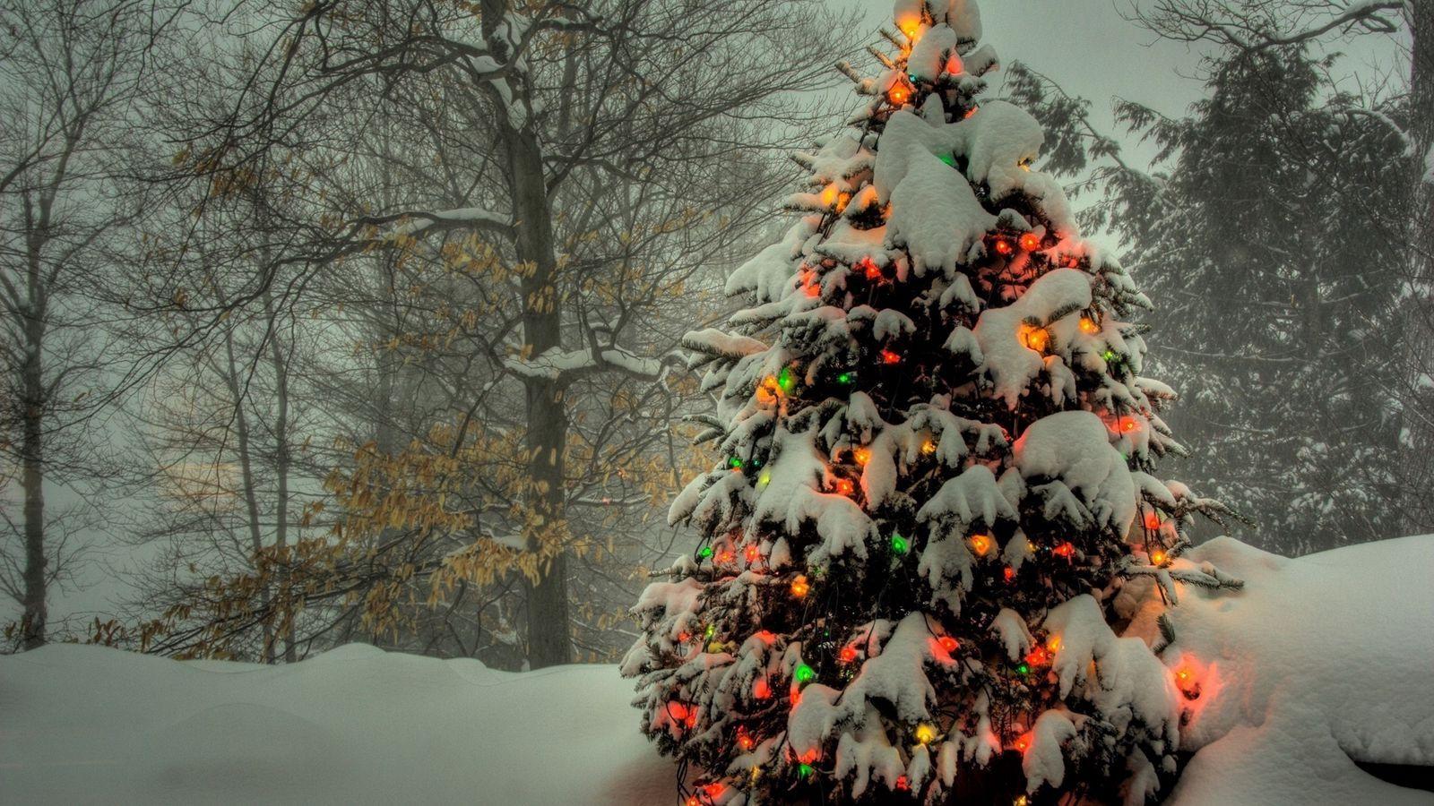 1600x900 Download wallpaper 1600x900 christmas tree, toys, light, snow widescreen 16:9 HD background