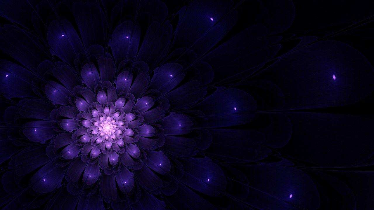 1280x720 Indigo Flower Wallpaper