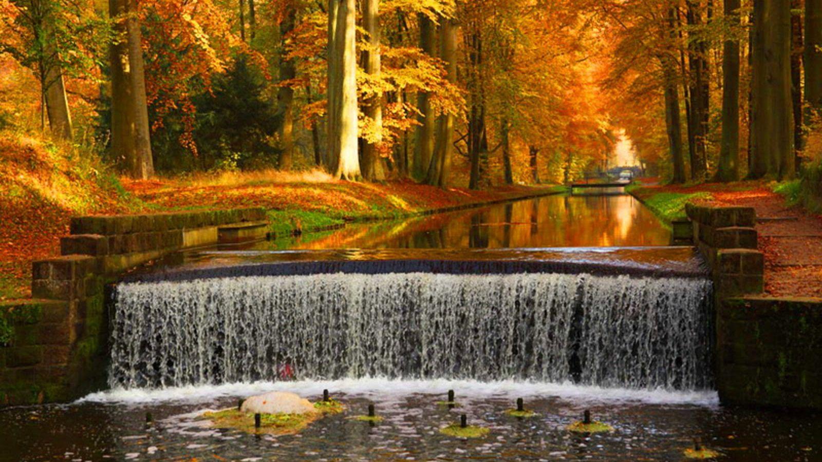 1600x900 Free download Autumn Waterfalls Desktop Wallpaper [1600x1000] for your Desktop, Mobile & Tablet. Explore Autumn Waterfall Free Wallpaper. Free Pumpkin Wallpaper, Free Fall Wallpaper For Desktop, Free Thanksgiving Wallpaper