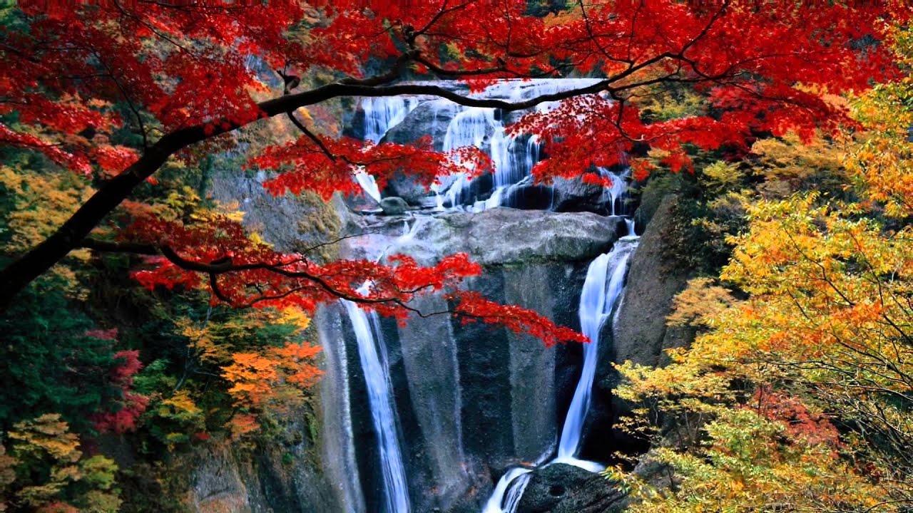 1280x720 Waterfall Wallpaper Wallpaper Superior Waterfall Wallpaper Background