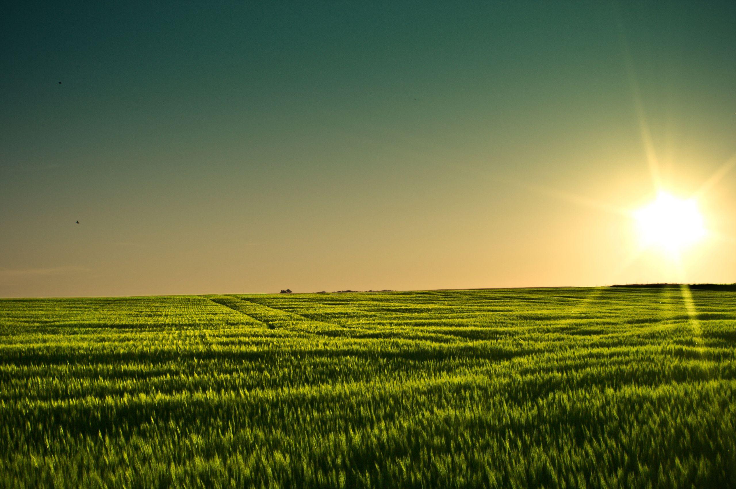 2560x1700 Free download Summer Field Background Summer grain wallpaper [3888x2430] for your Desktop, Mobile & Tablet. Explore Summer Fields Wallpaper. Soccer Field Wallpaper