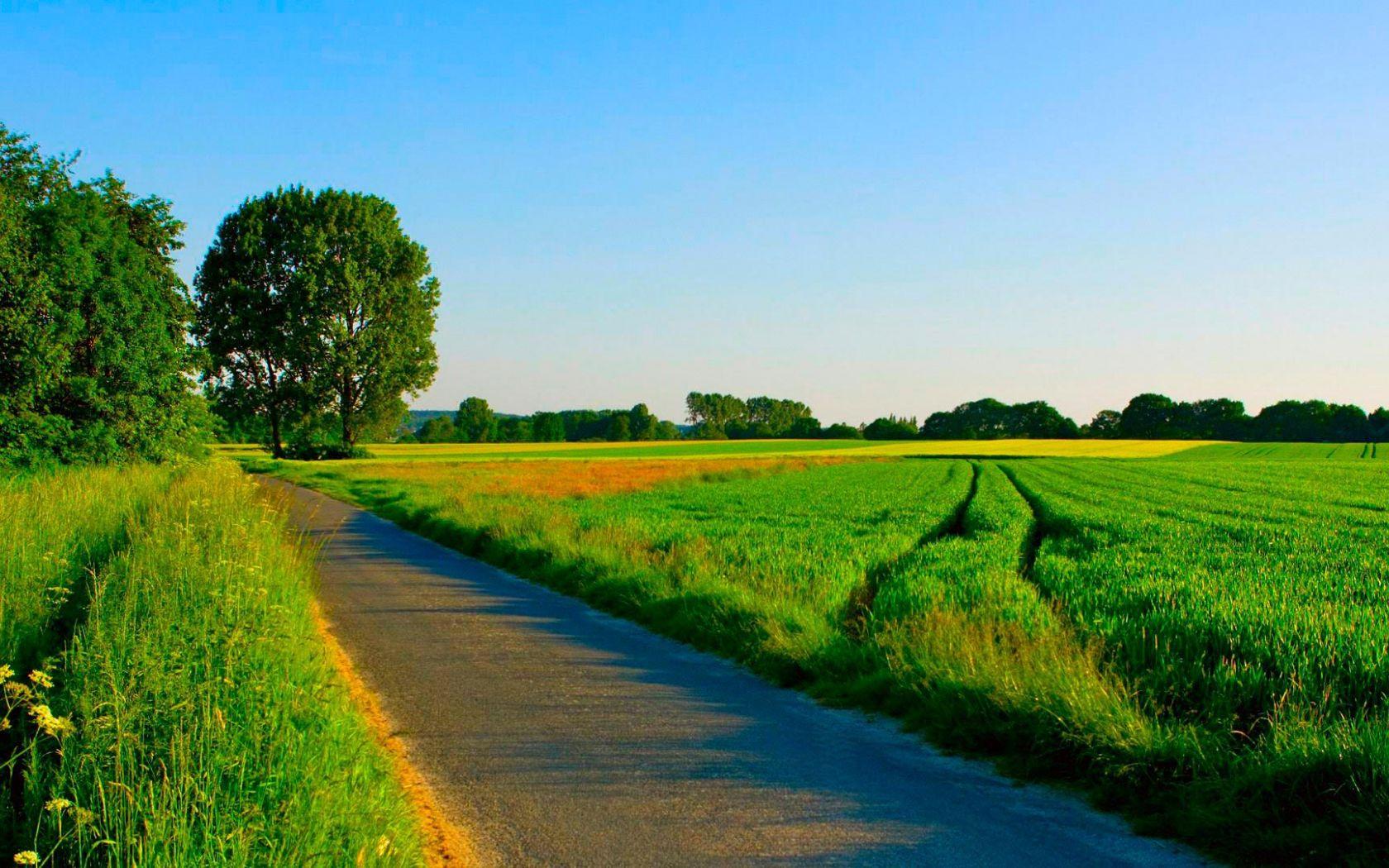 1680x1050 Free download Summer road among manicured fields wallpaper and image wallpaper [1920x1080] for your Desktop, Mobile & Tablet. Explore Summer Fields Wallpaper. Soccer Field Wallpaper
