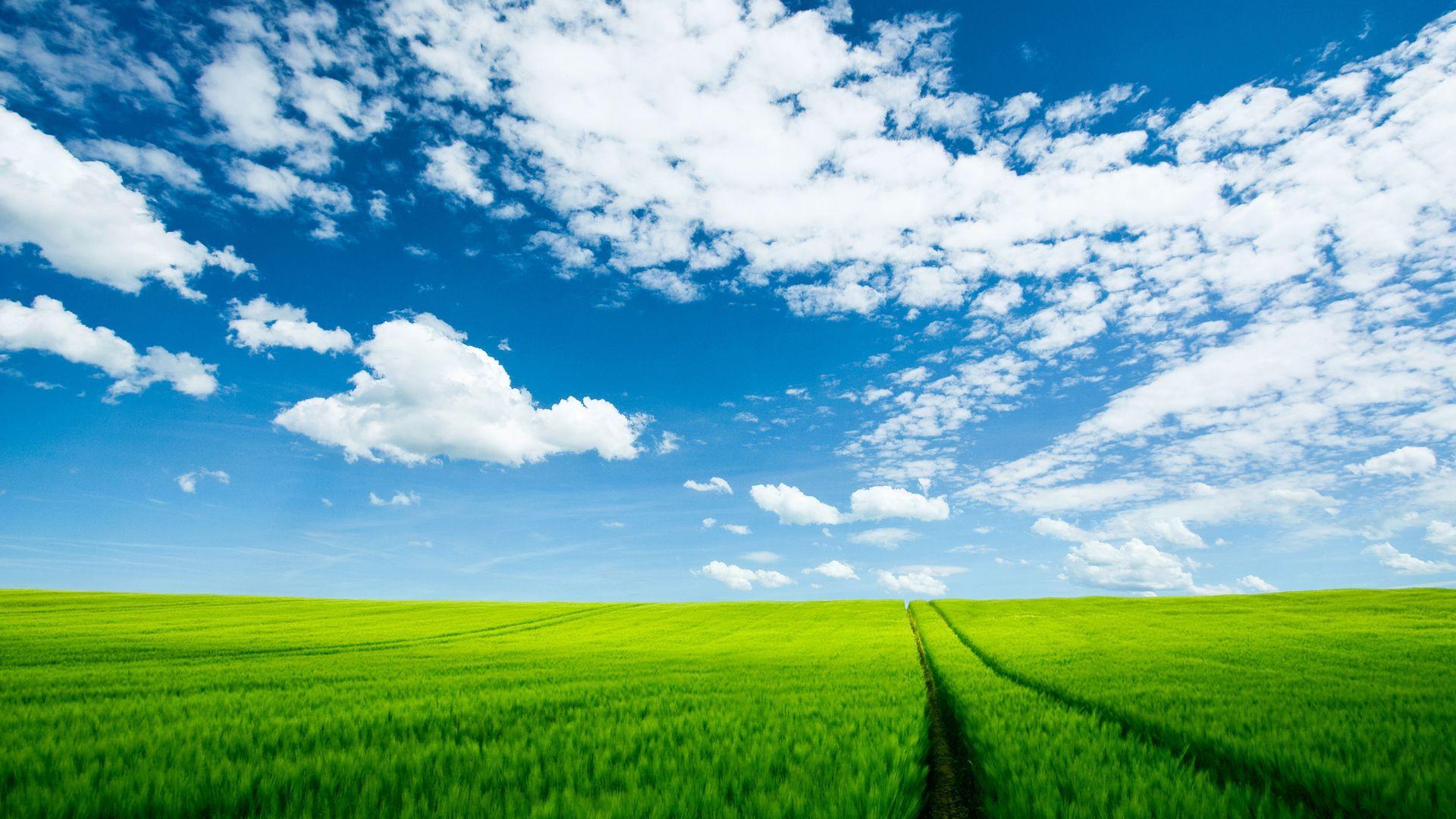 1920x1080 Cool Summer Landscape Wallpaper HD