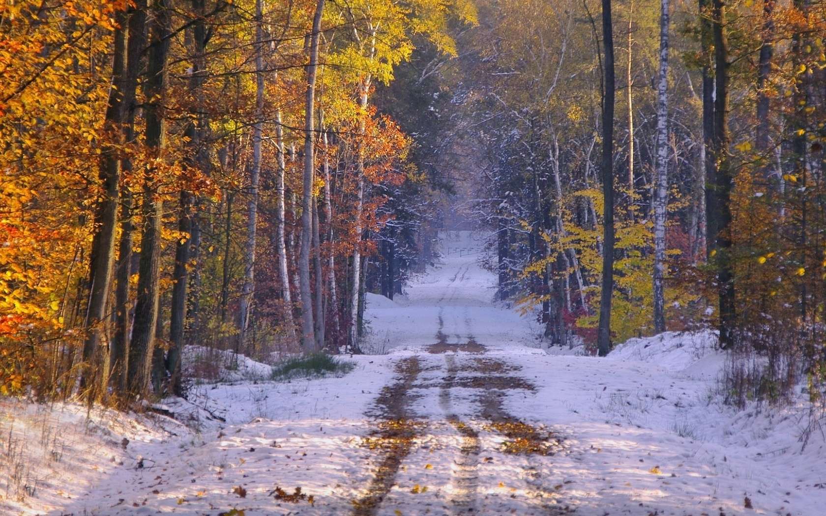 Late Autumn Wallpapers Top Free Late Autumn Backgrounds WallpaperAccess