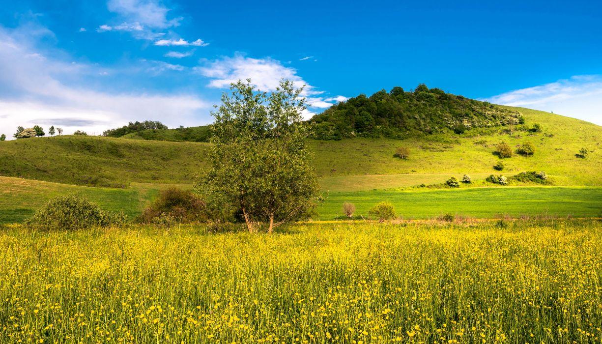 1225x700 Summer Fields Sky Nature wallpaperx2000