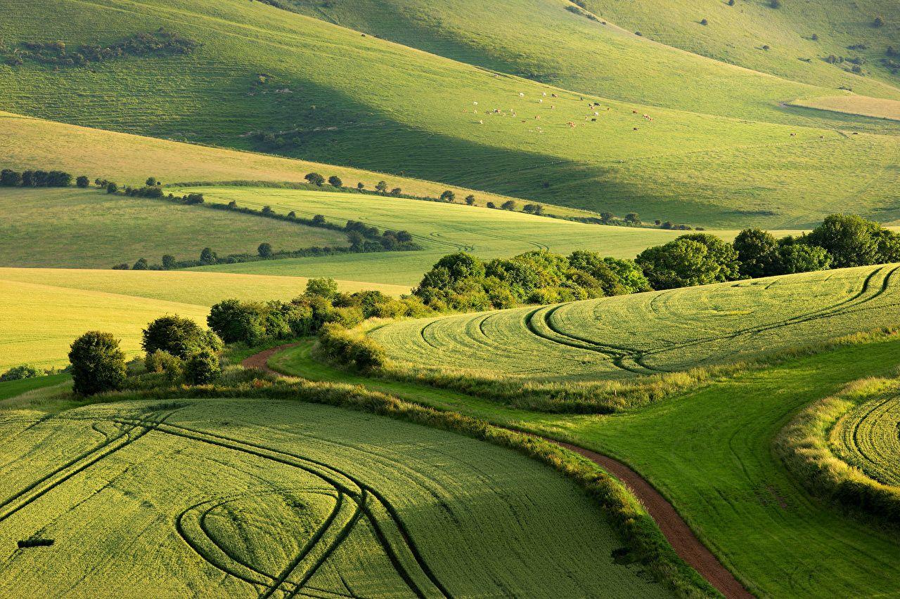 1280x853 image England South Downs National Park Summer Nature park Fields