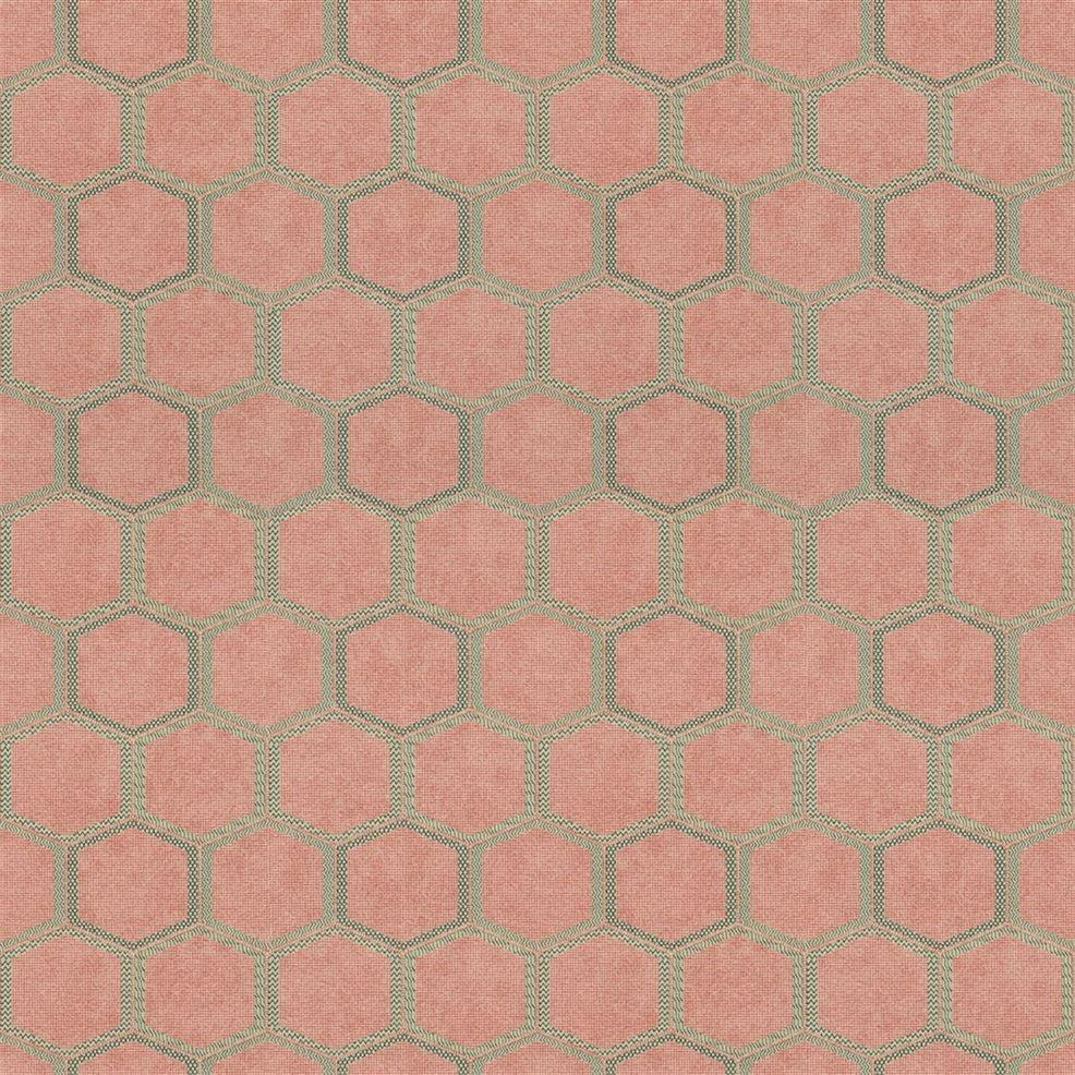 Coral Texture Wallpapers Top Free Coral Texture Backgrounds