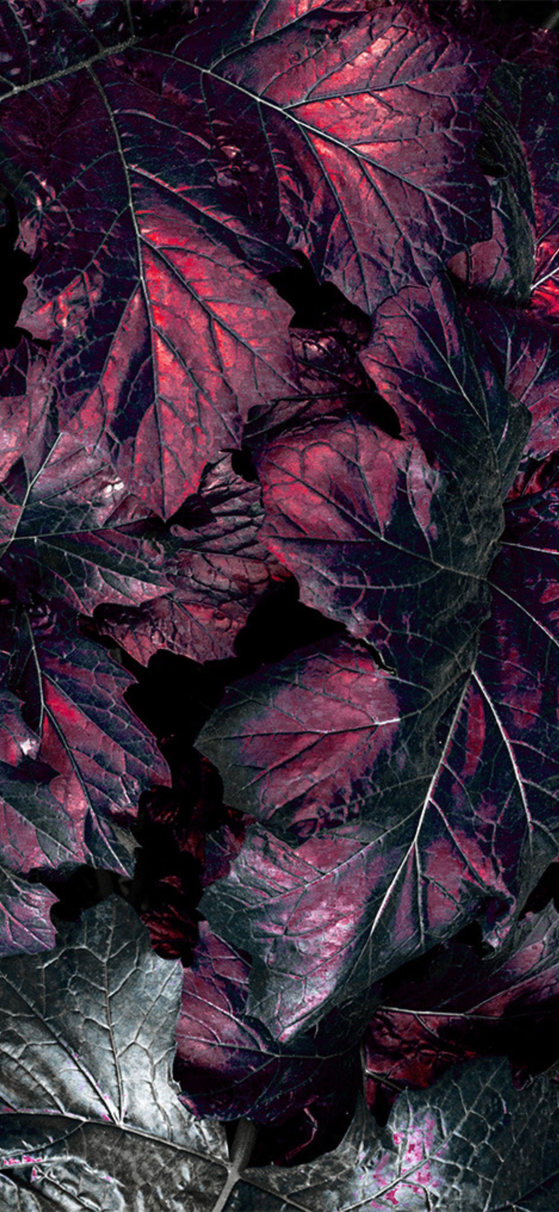 Maroon Marble Wallpapers Top Free Maroon Marble Backgrounds