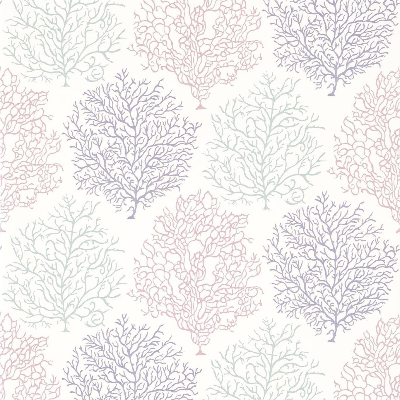 Coral Texture Wallpapers Top Free Coral Texture Backgrounds