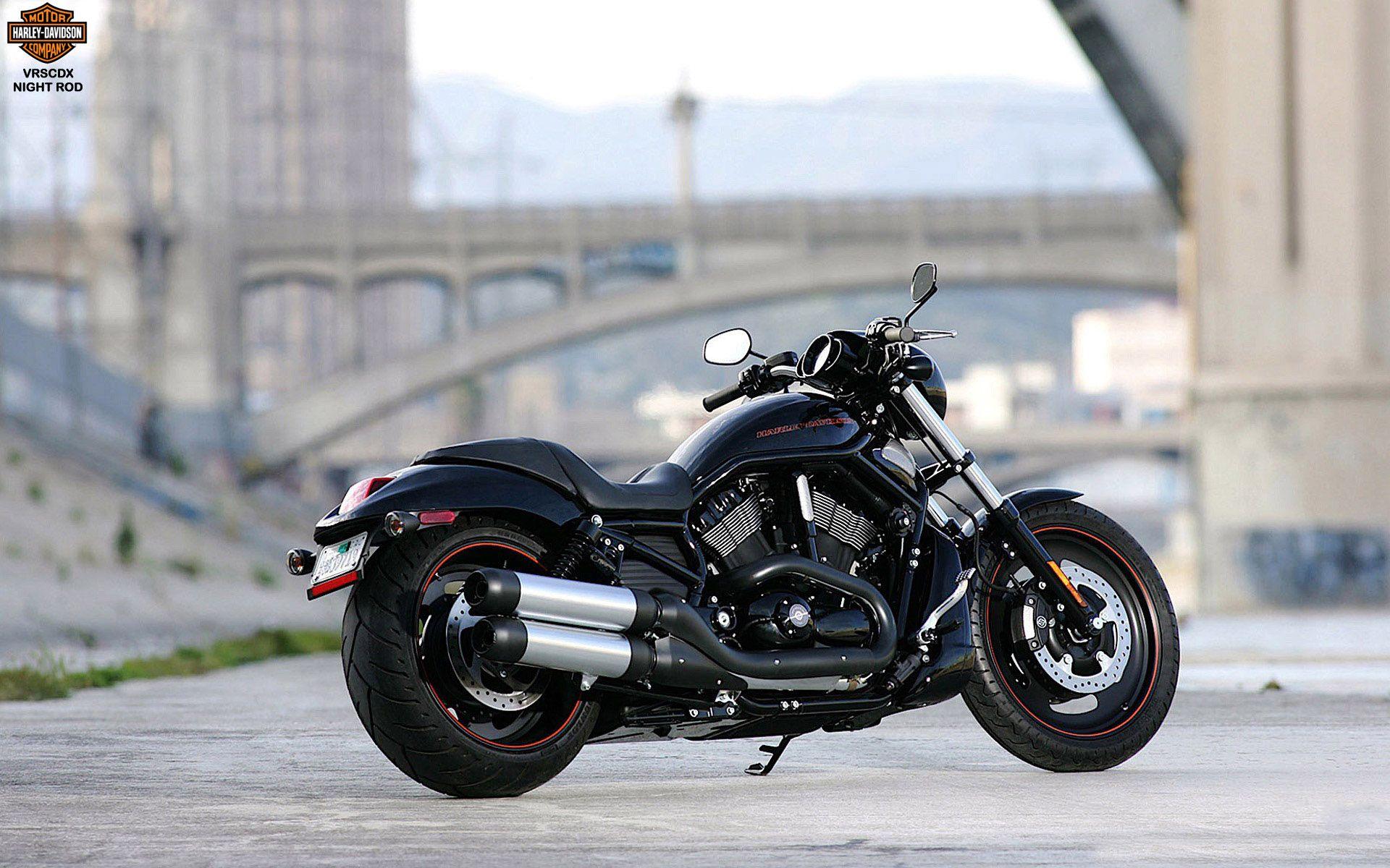 1920x1200 Harley Davidson VRSCDX Night Rod Collection Of HD Pics. Motorcycle