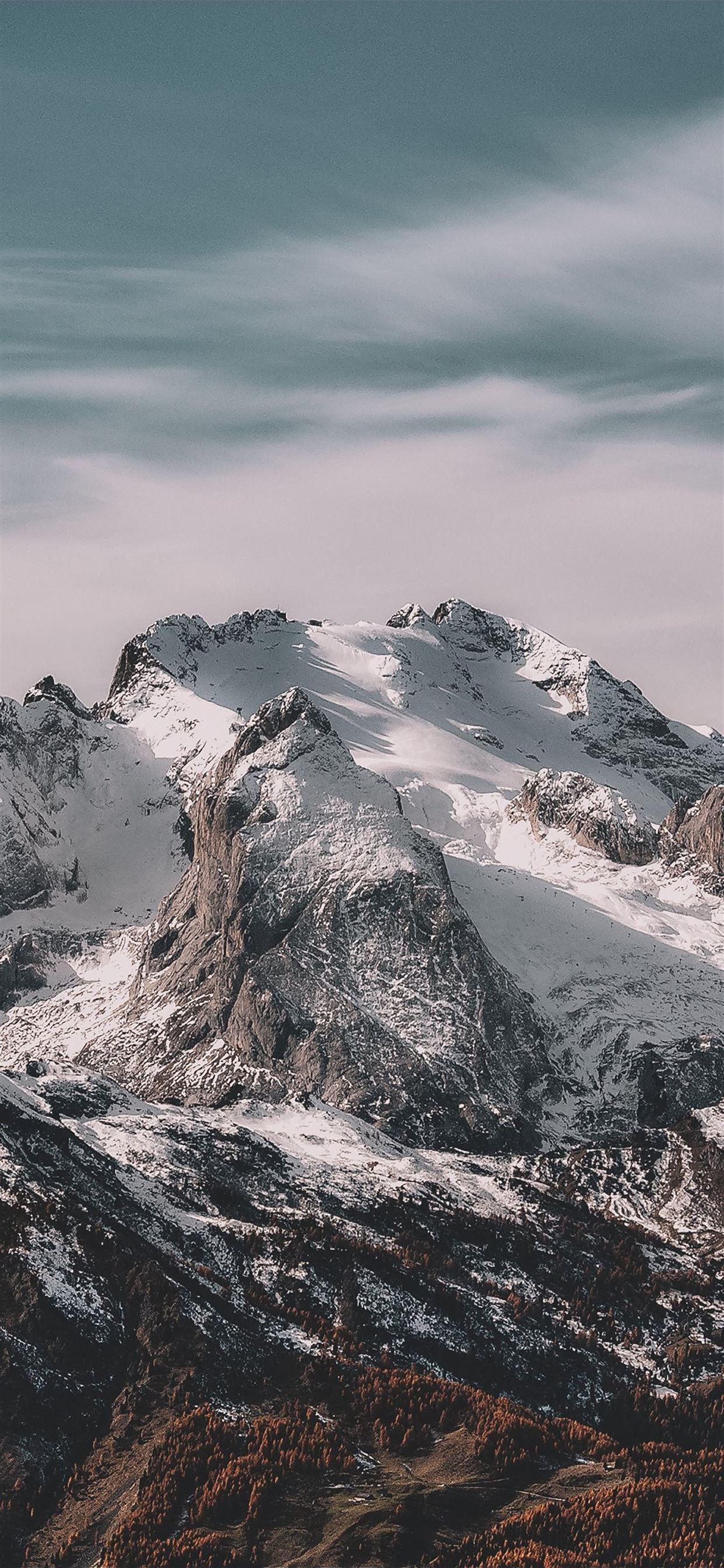 1242x2688 Late autumn iPhone X Wallpaper Free Download