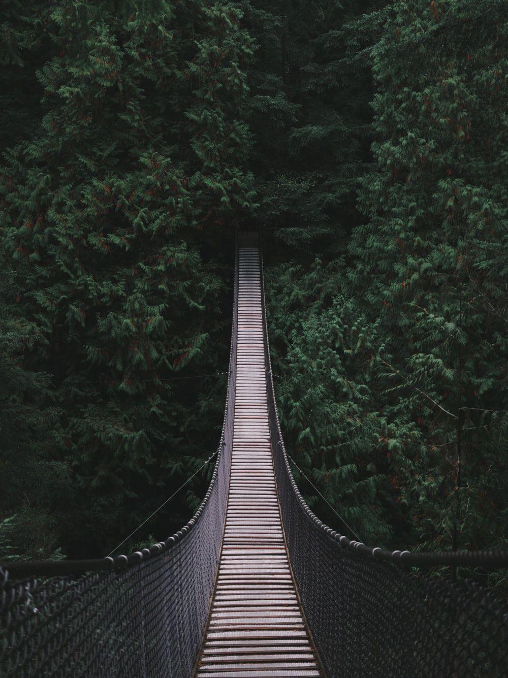 1000x1335 Bridge Picture. Download Free Image