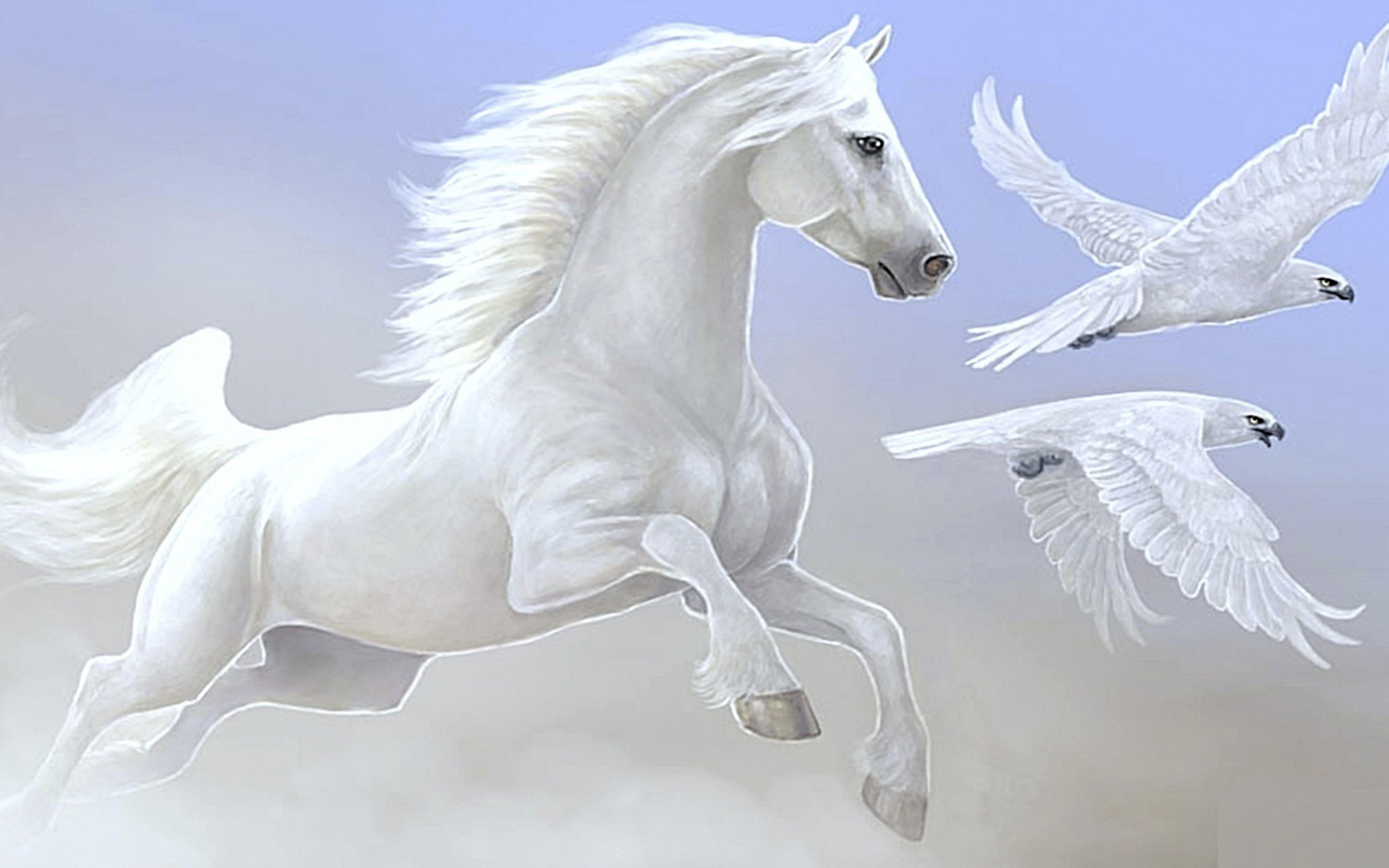 3840x2400 Beautiful Wallpaper Of Horses .