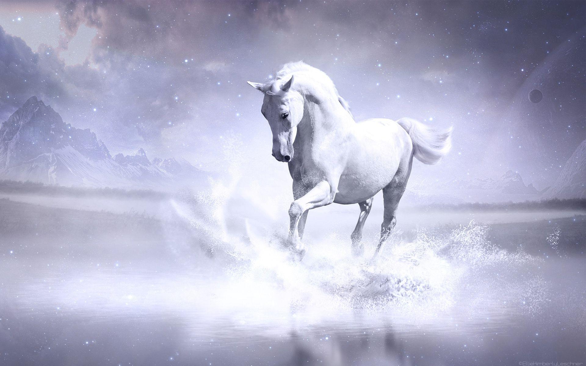 1920x1200 White Horse Wallpaper