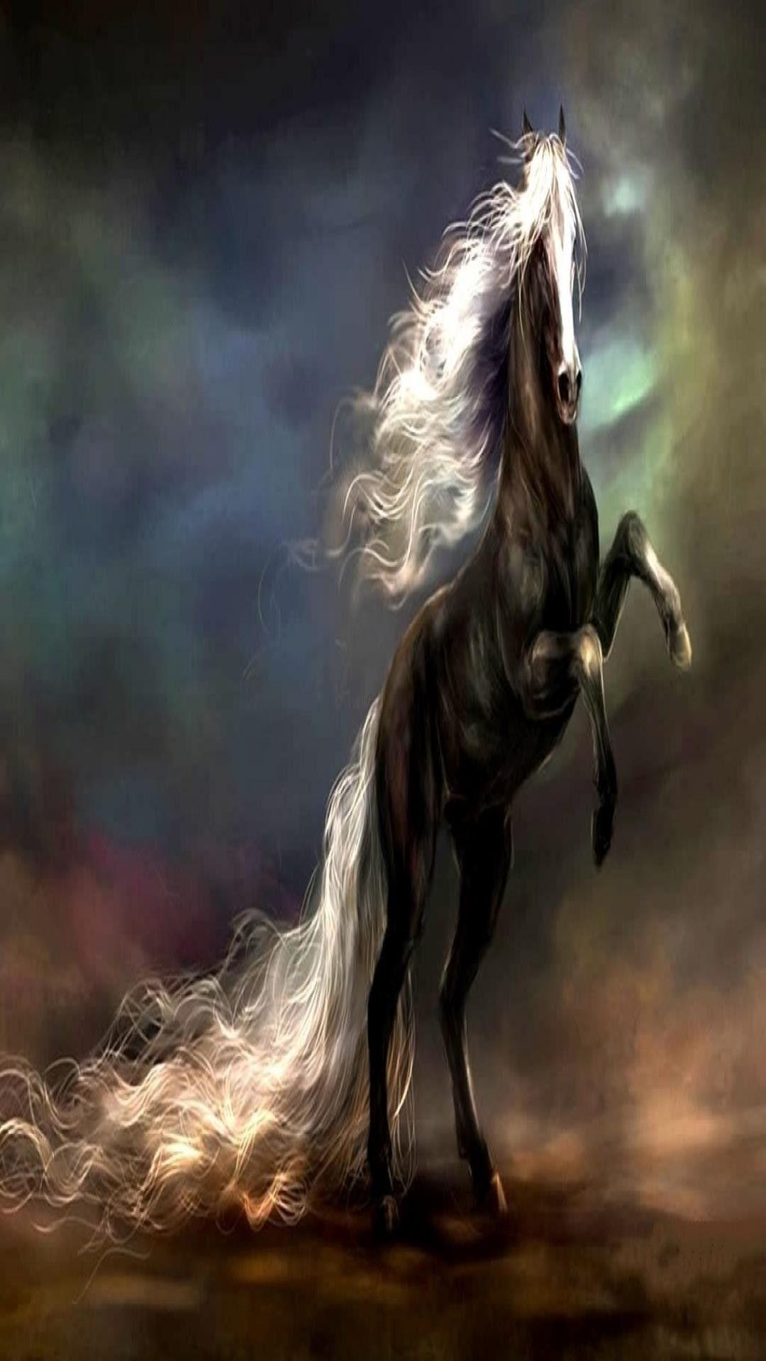1080x1920 Data Src Popular Dark Horse Wallpaper For iPhone 5 Horse White Mane Art HD Wallpaper