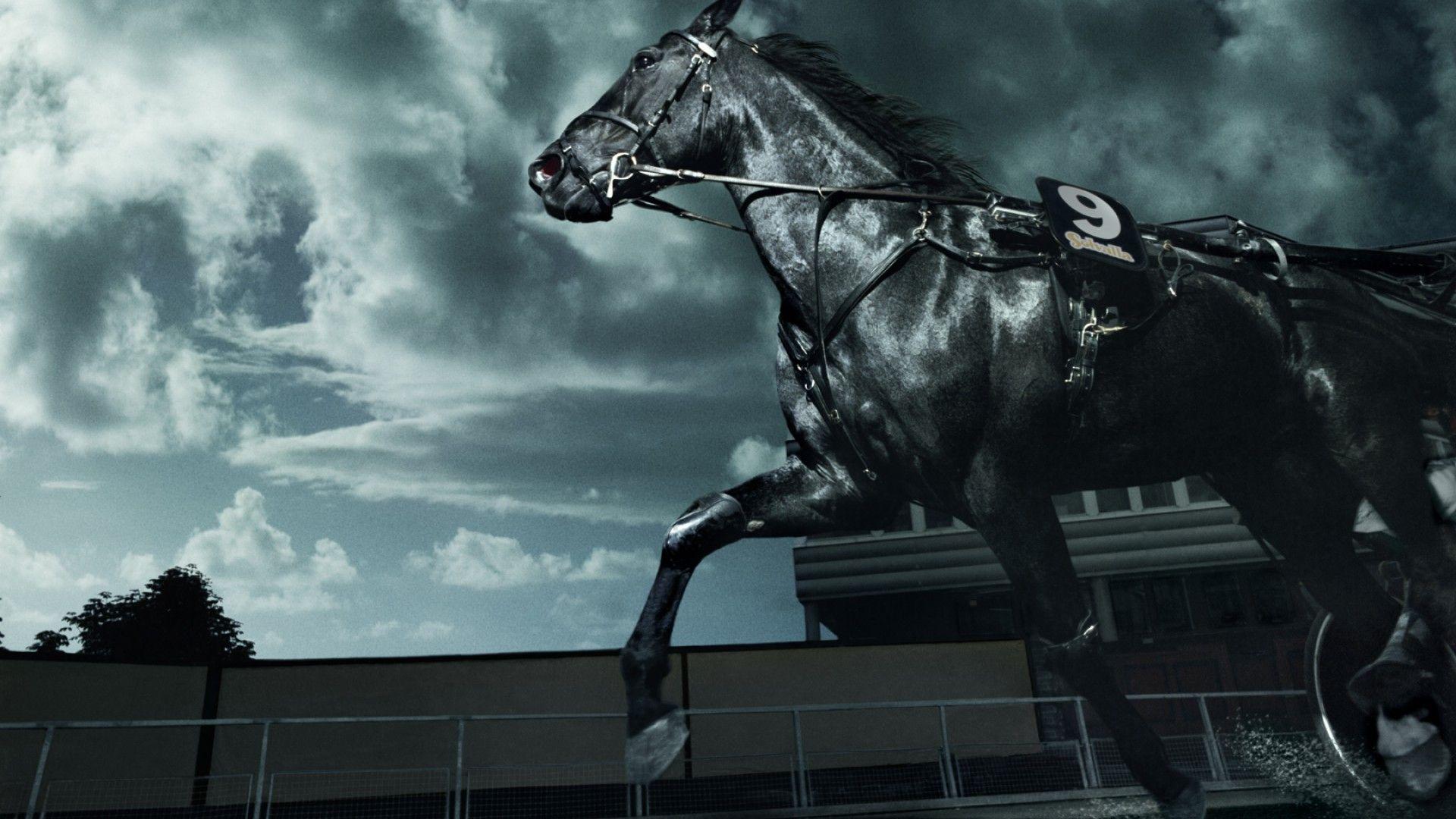 1920x1080 Dark Horses wallpaper, Vehicles, HQ Dark Horses pictureK Wallpaper 2019