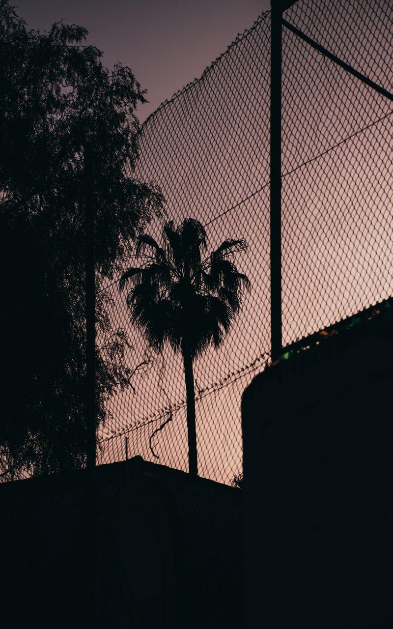 800x1280 Wallpaper palm tree night darkness net fence. Palm trees wallpaper, Beautiful image nature, Nature image