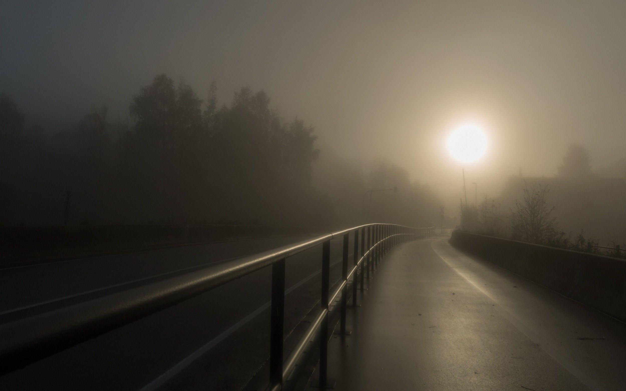 2500x1563 nature, Landscape, Mist, Walkway, Dark, Highway, Trees, Sunrise, Fence Wallpaper HD / Desktop and Mobile Background