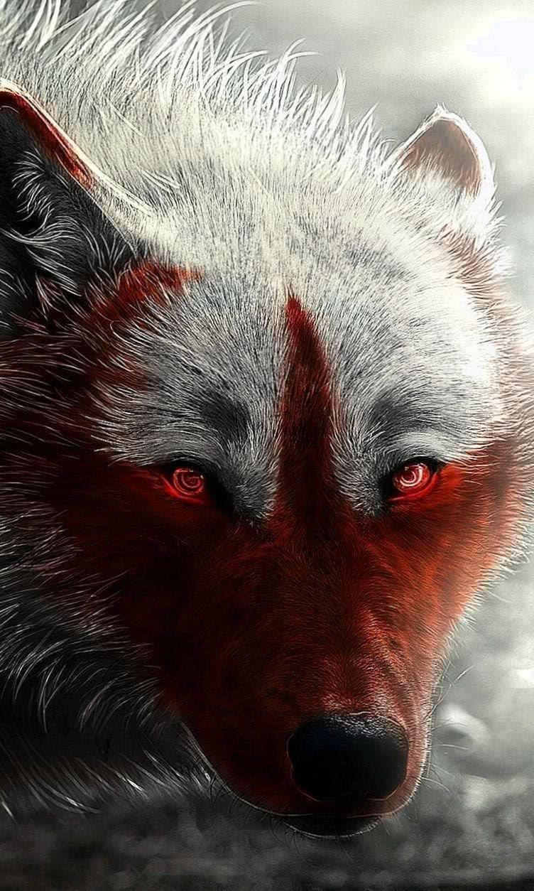 Scary Werewolf Wallpapers - Top Free Scary Werewolf Backgrounds ...