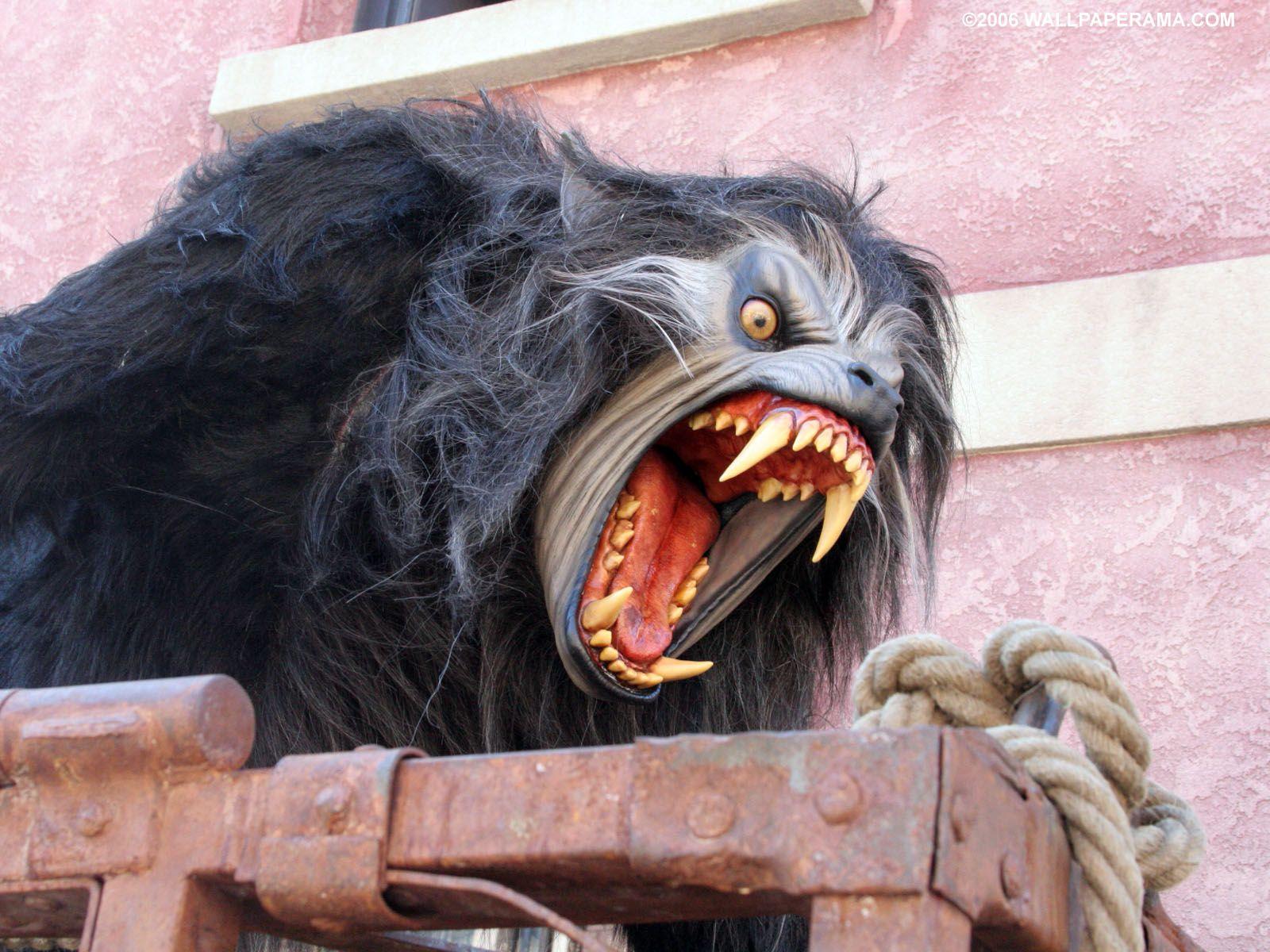 1600x1200 Werewolf Wallpaper. Werewolf Wallpaper, Tribal Werewolf Wallpaper and Vampire vs Werewolf Wallpaper