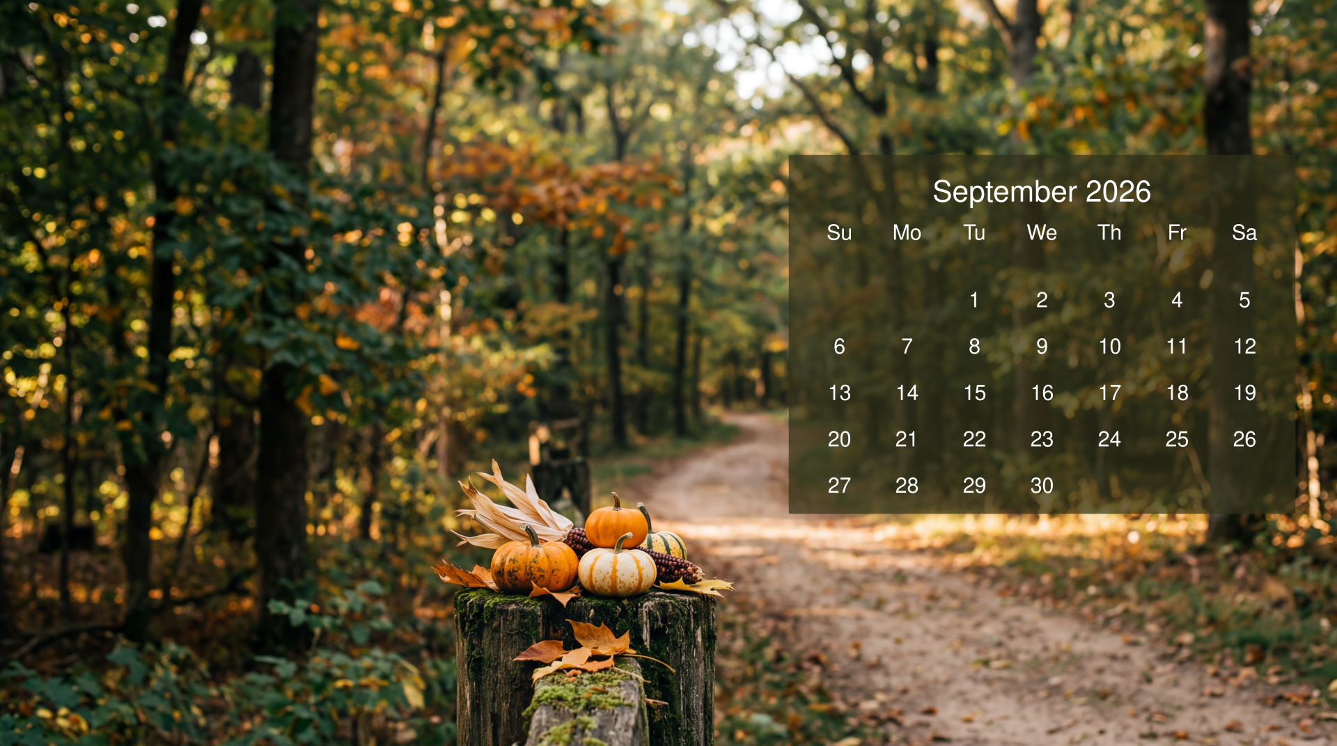 1920x1072 September 2026: Autumn Stroll