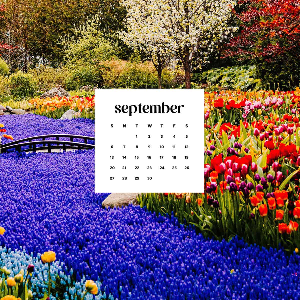 1200x1200 September 2026 wallpaper—48 desktop & phone freebies!