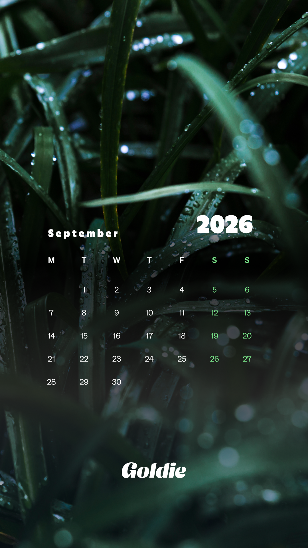 1080x1920 Free September 2026 Wallpaper Calendars