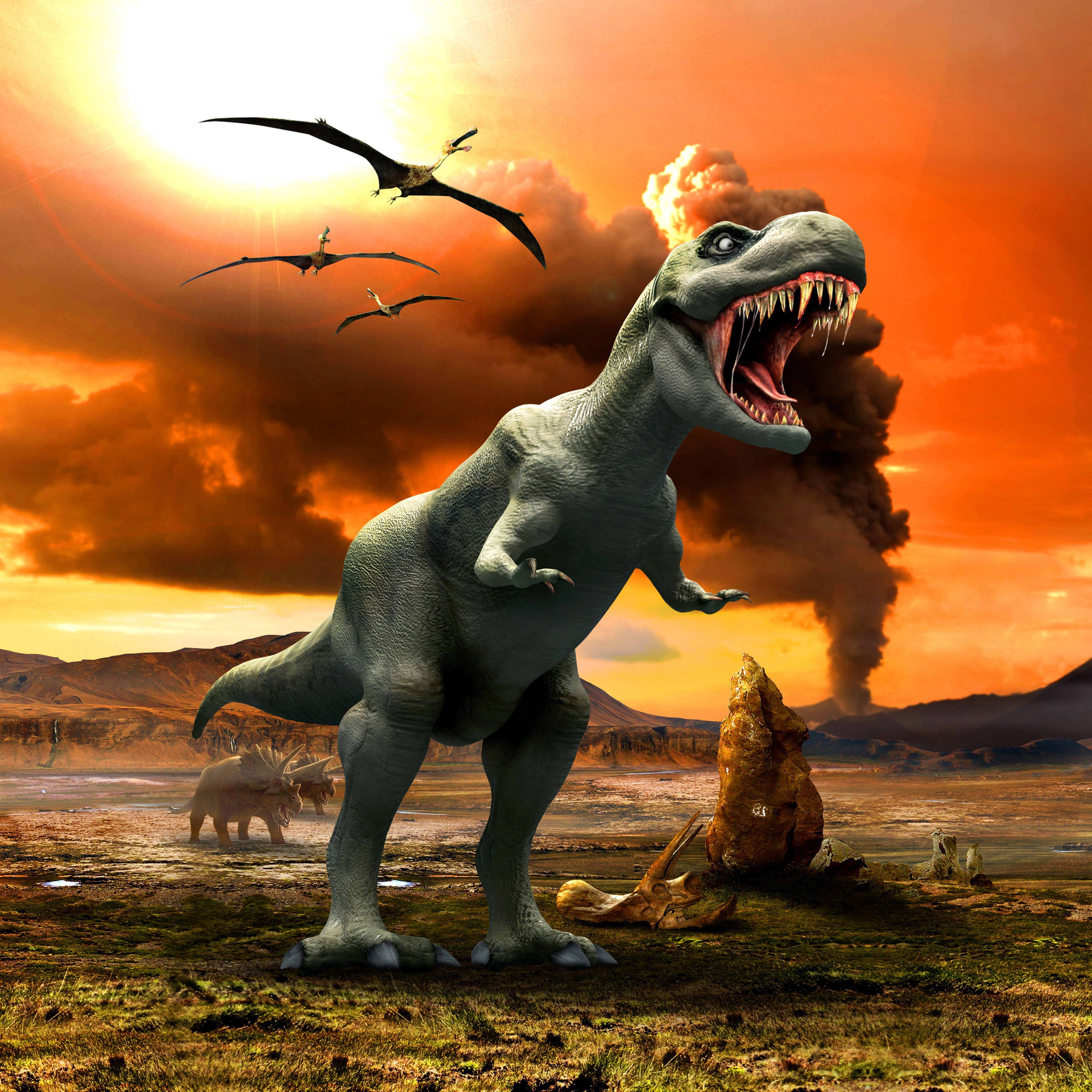 4800x4800 image Tyrannosaurus rex Dinosaurs 3D Graphics animal 4800x4800