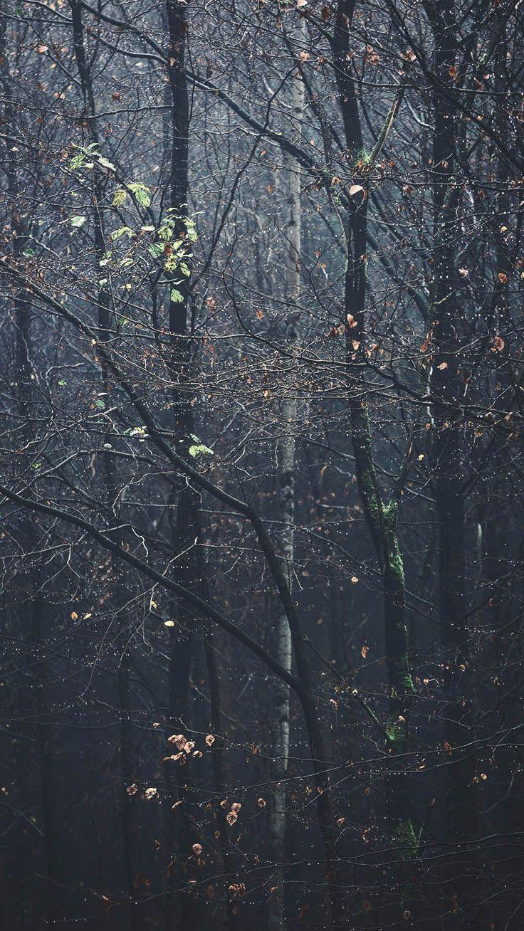 736x1308 Free Autumn Inspired iPhone 7 Plus Wallpaper