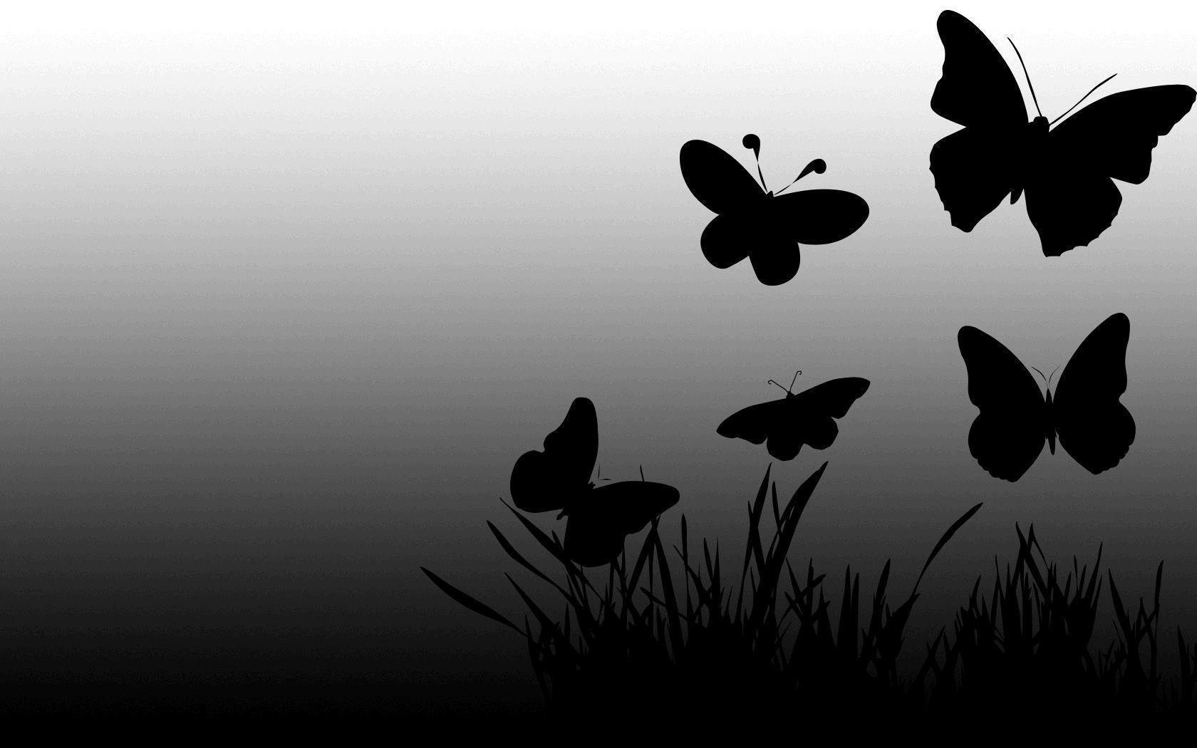 Black Butterfly Wallpapers - Top Những Hình Ảnh Đẹp