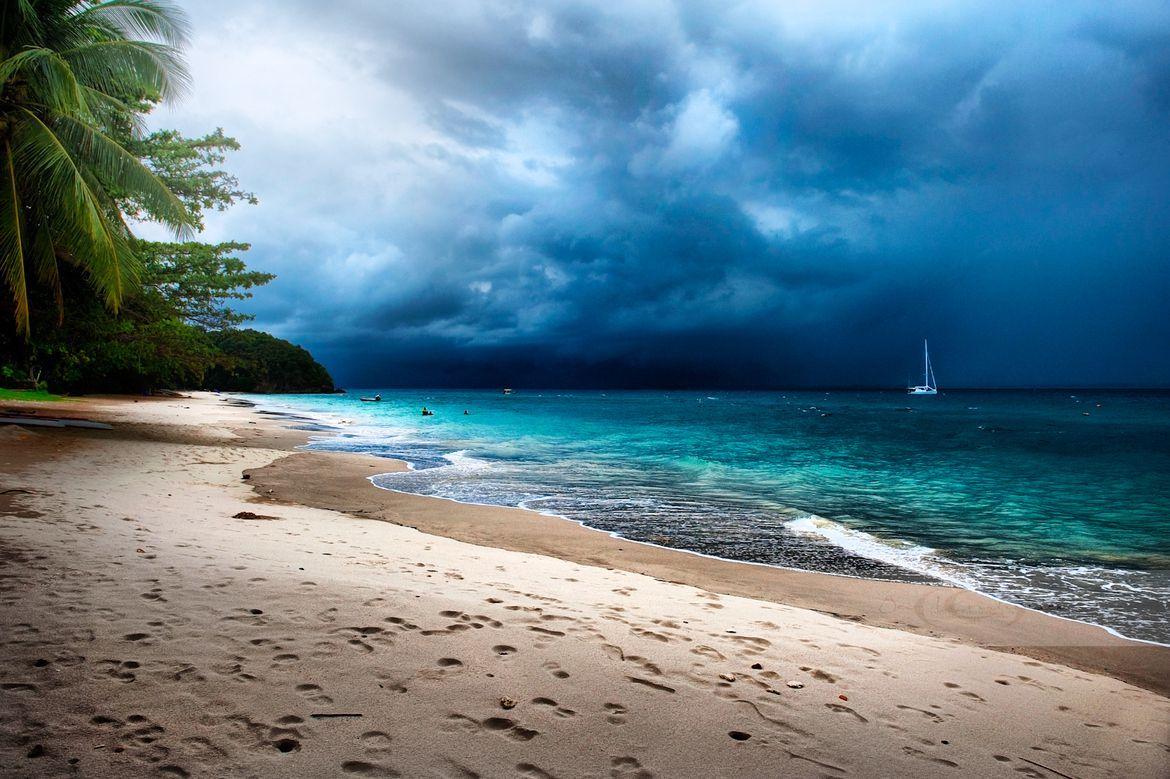 1170x779 Chronicles of a Love Affair with Nature. Beach, Island wallpaper, Palm trees painting