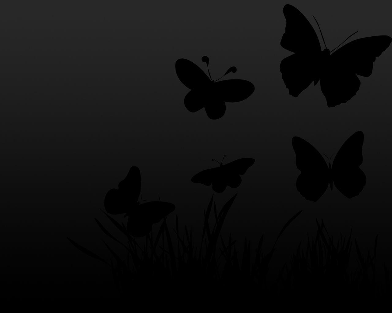 1280x1024 Hình nền con bướm đen tuyệt vời Màn hình rộng HD cho PC của bạn