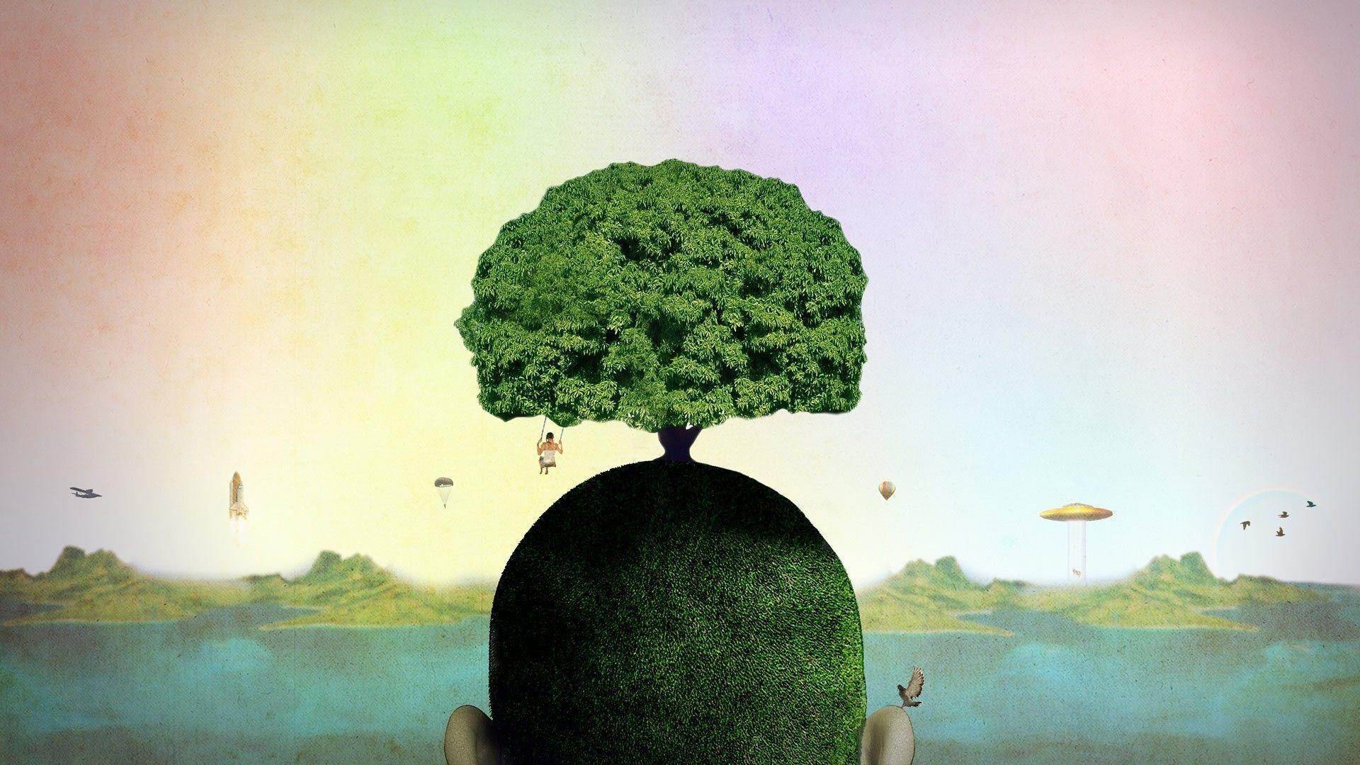 Growing Plant Wallpapers Top Free Growing Plant Backgrounds WallpaperAccess