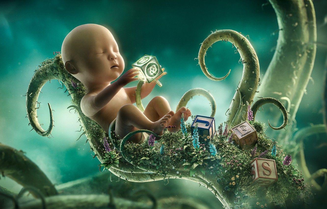 1332x850 Wallpaper cubes, plant, child, growth, Desktopography, development, Childhood, training, feeling, growing up, Heiko Klug image for desktop, section рендеринг