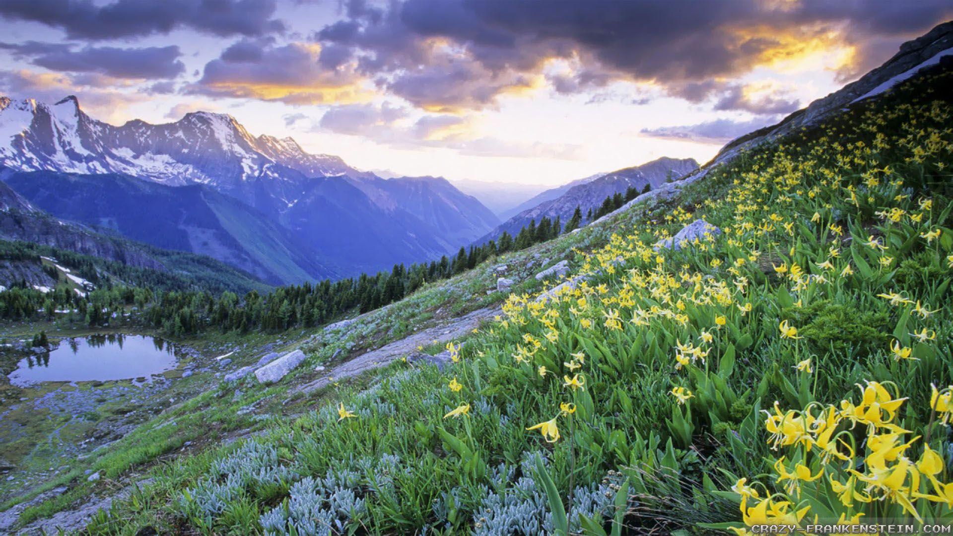 1920x1080 Spring in Canada wallpaper