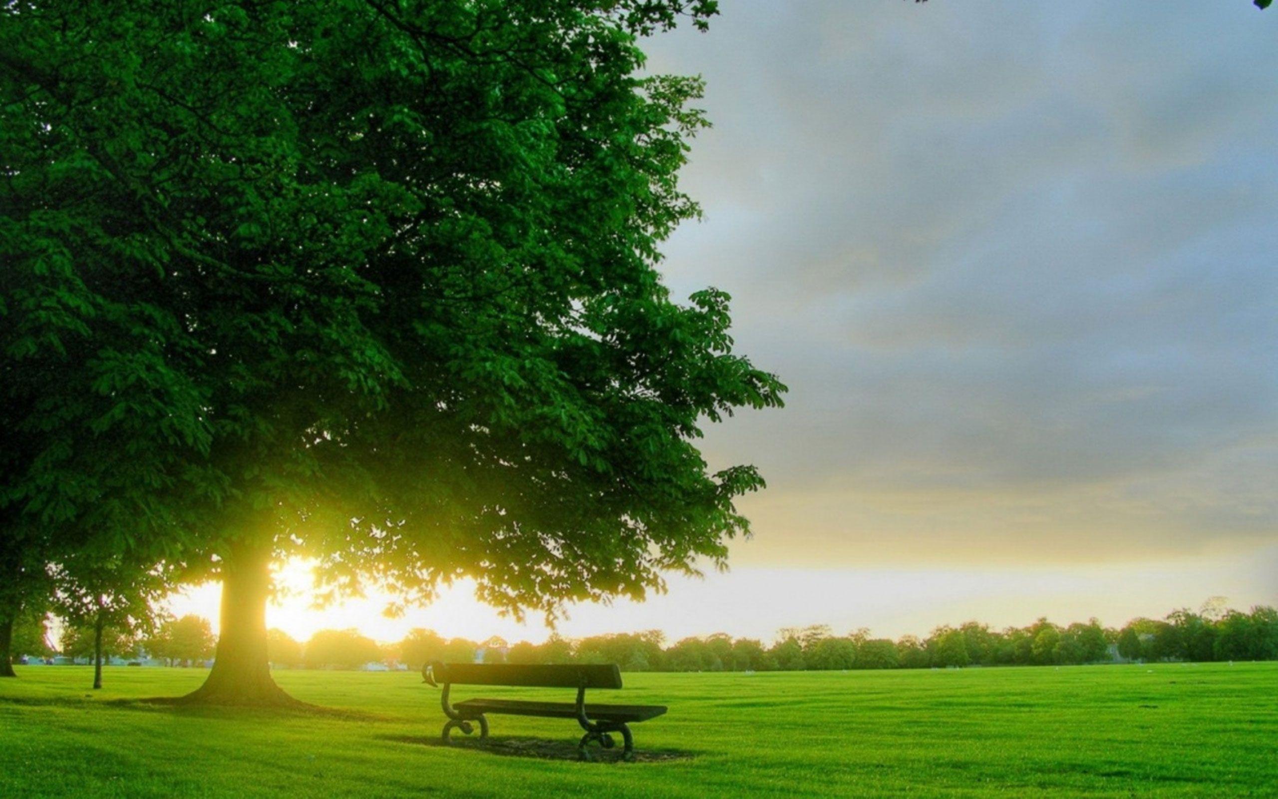 2560x1600 Desktop Computer Nature High Quality Resolution With HD Wallpaper