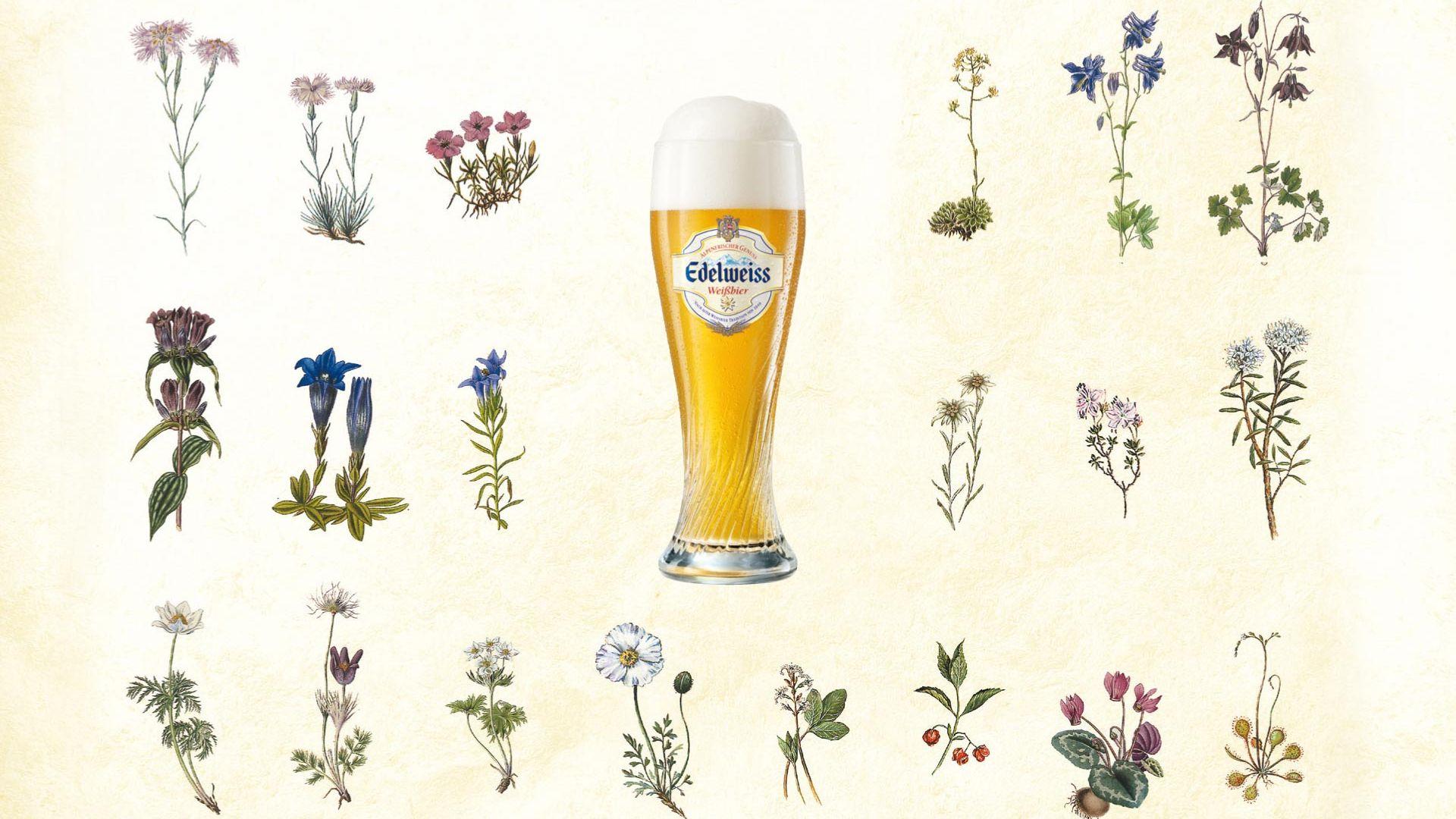 1920x1080 Free download Ingredients Wallpaper Edelweiss Ingredients HD Wallpaper [1920x1200] for your Desktop, Mobile & Tablet. Explore Wallpaper Sizing Ingredients. How to Make Wallpaper Sizing, Prime Time Paint and Wallpaper, Wallpaper Dimensions