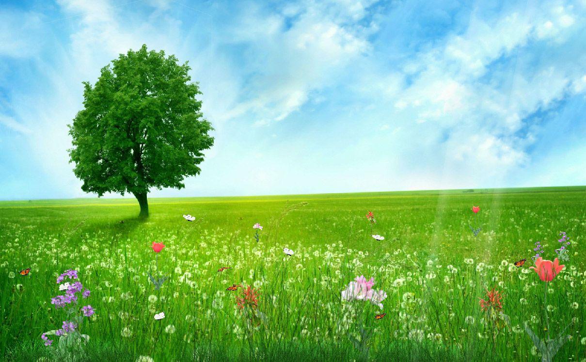 1209x747 Happy Spring Animated Wallpaper