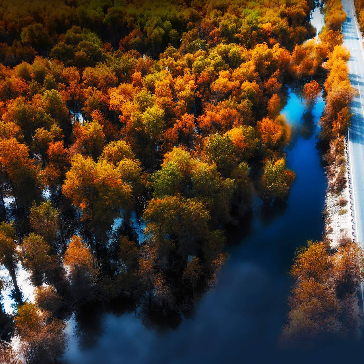 1280x1280 Huawei Mate 40 Pro wallpaper