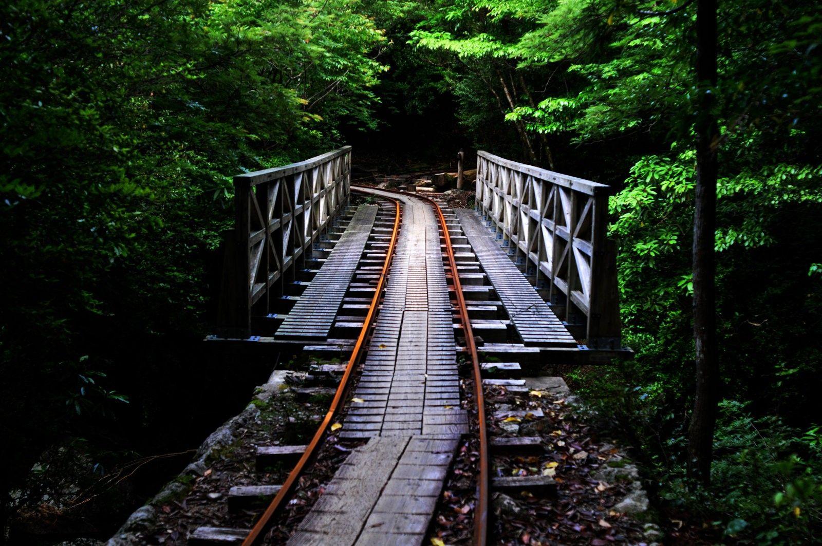 1600x1063 Forests: Nature Japanese Ancient Japan Forest Railway Bridge Day