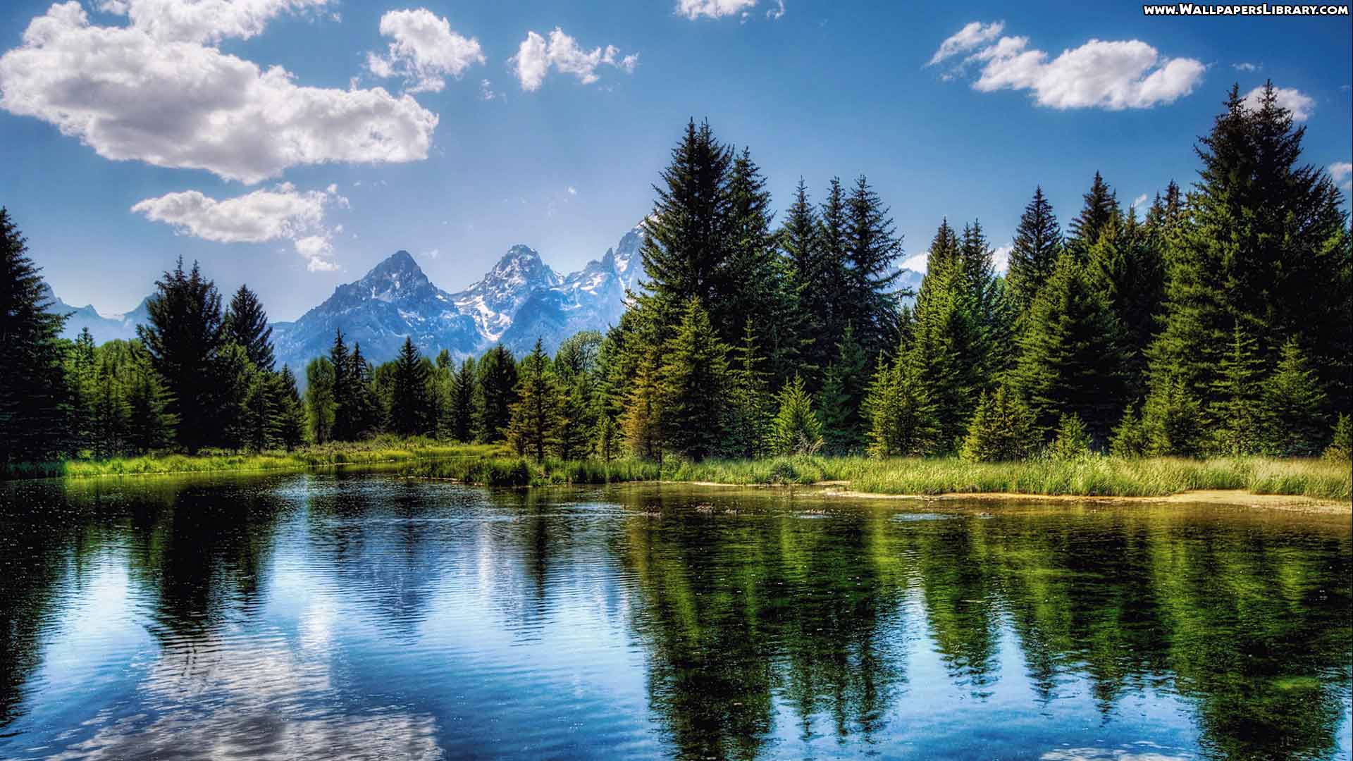 1920x1080 Spring Wallpaper 1920x1080