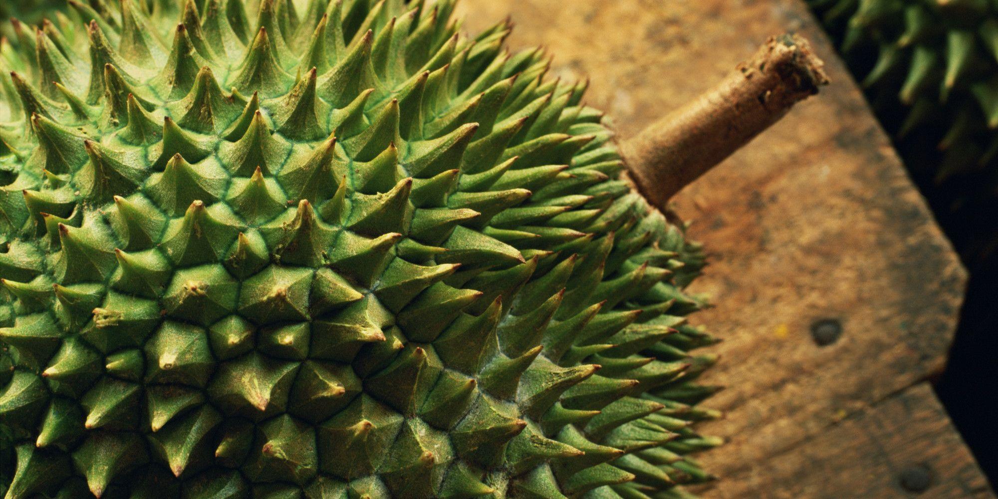 Durian Wallpapers - Top Free Durian Backgrounds - WallpaperAccess