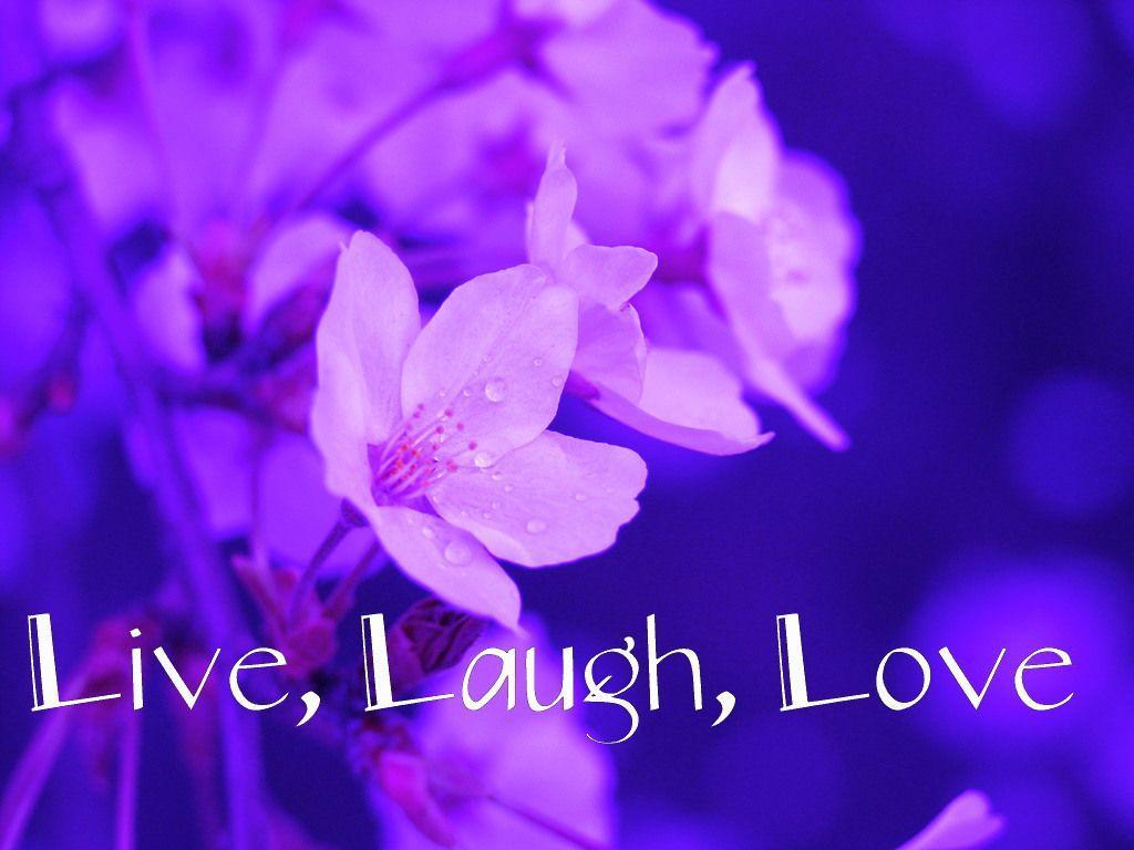 Live Laugh Love Wallpapers Top Free Live Laugh Love Backgrounds