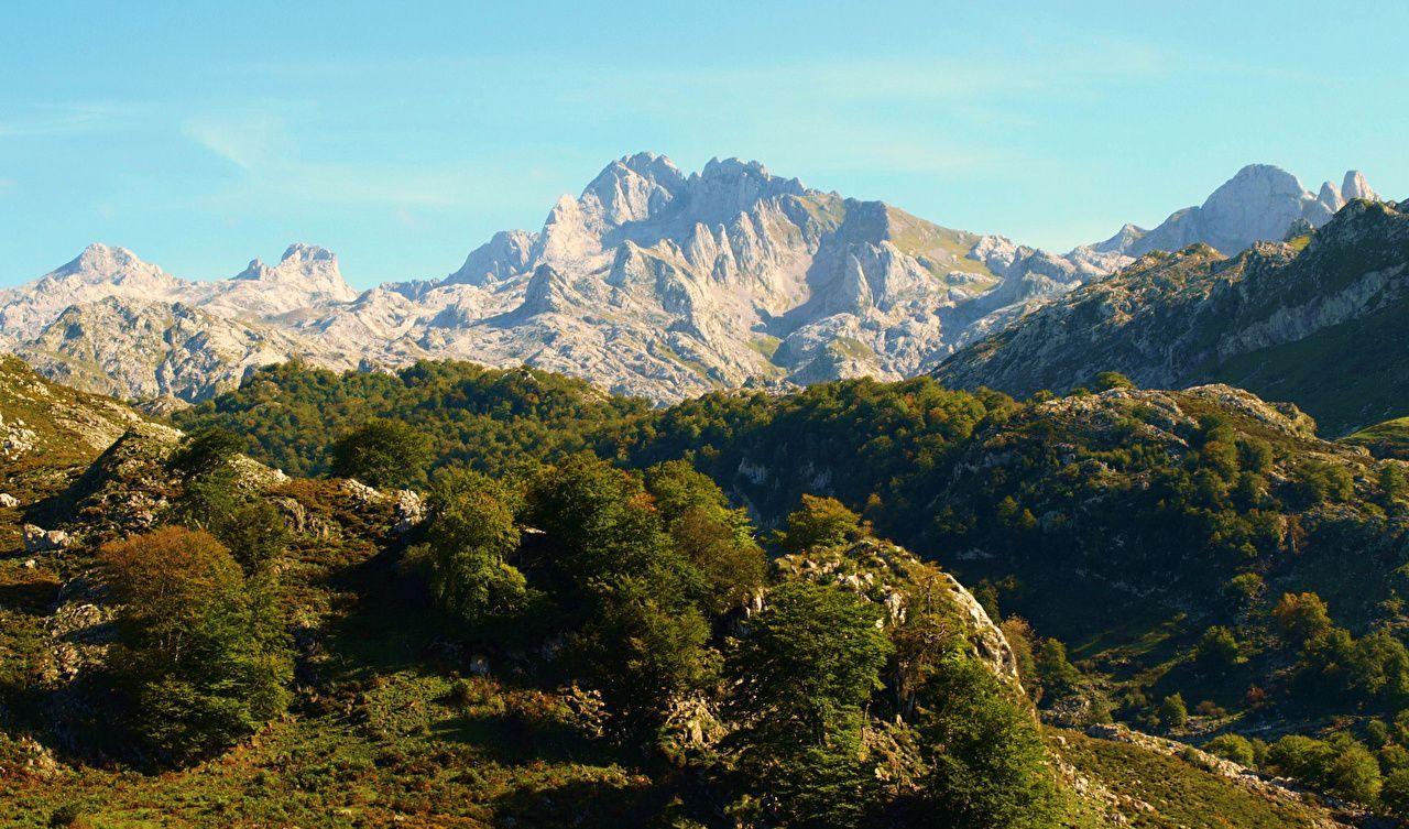 1280x753 image Spain Asturias Nature mountain Bush